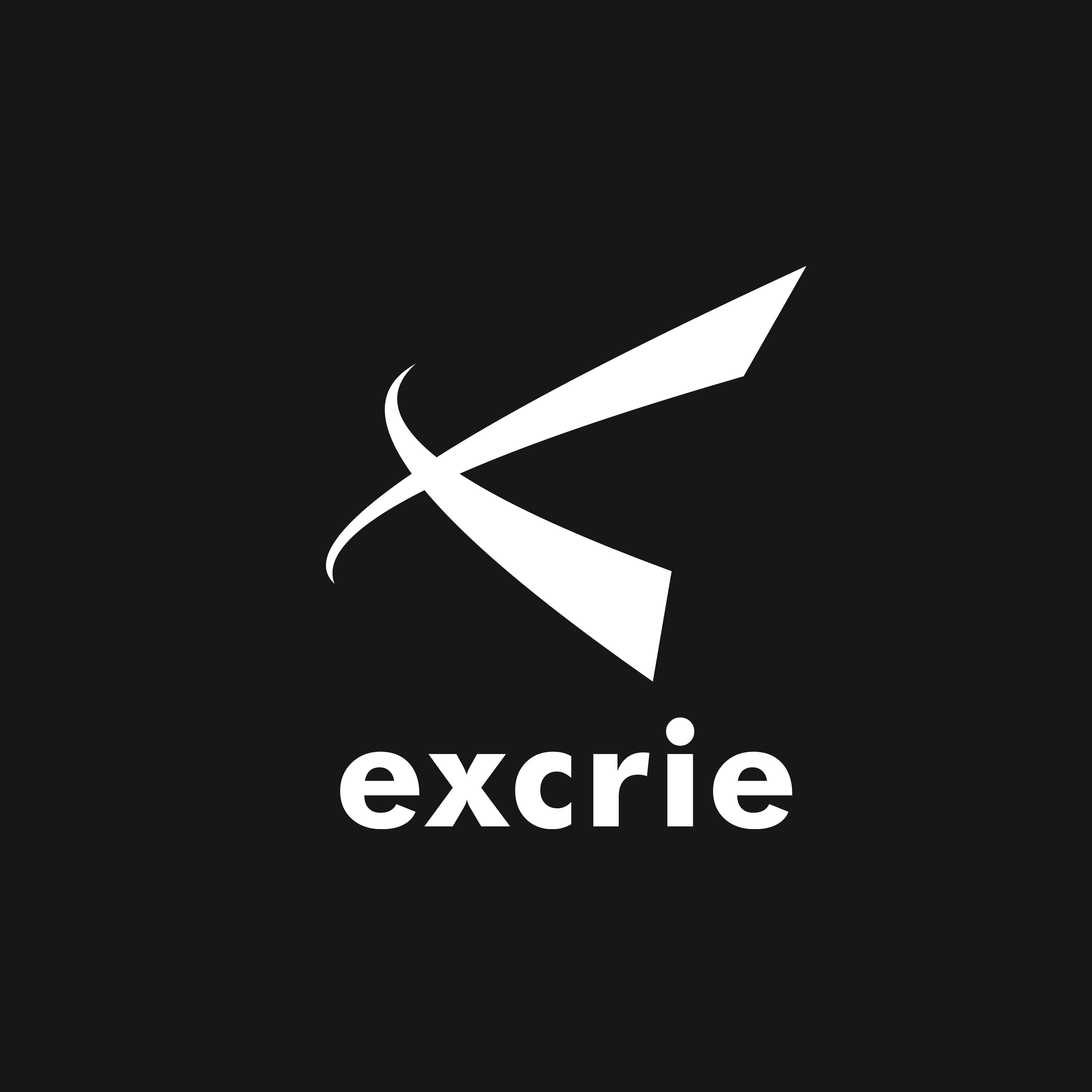 株式会社エクスクリエ