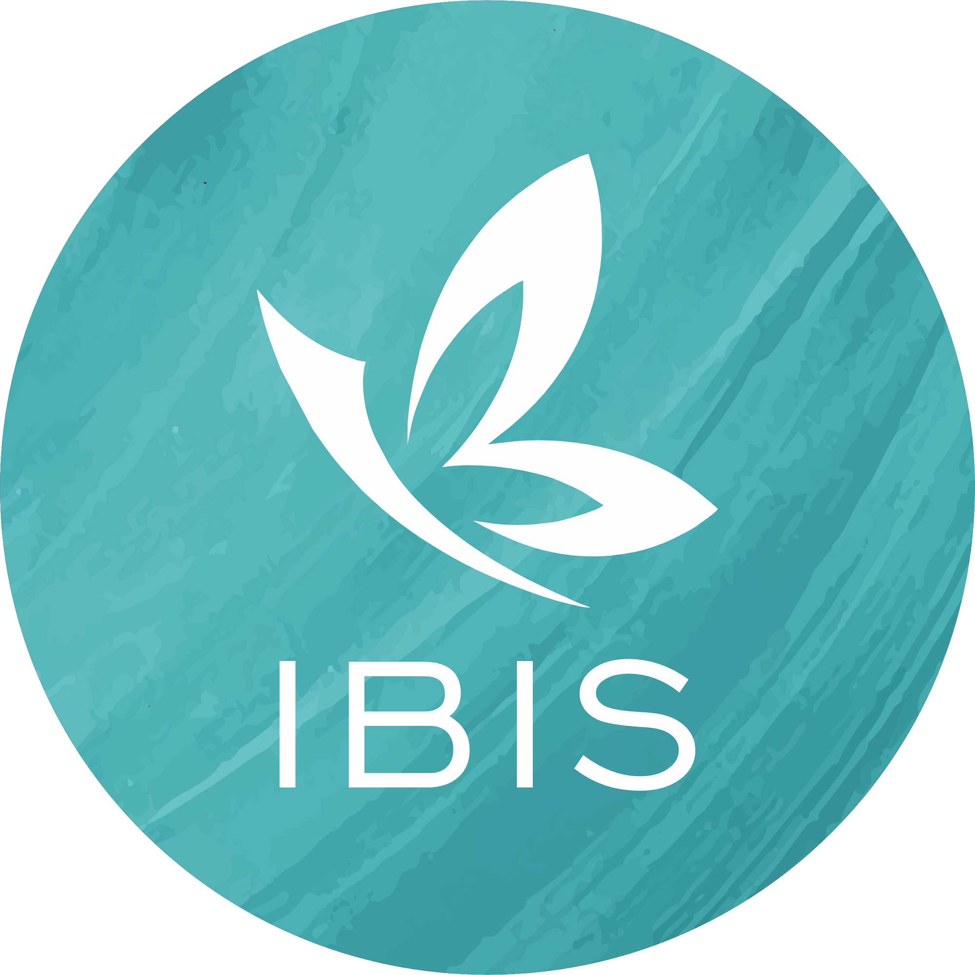 株式会社IBIS