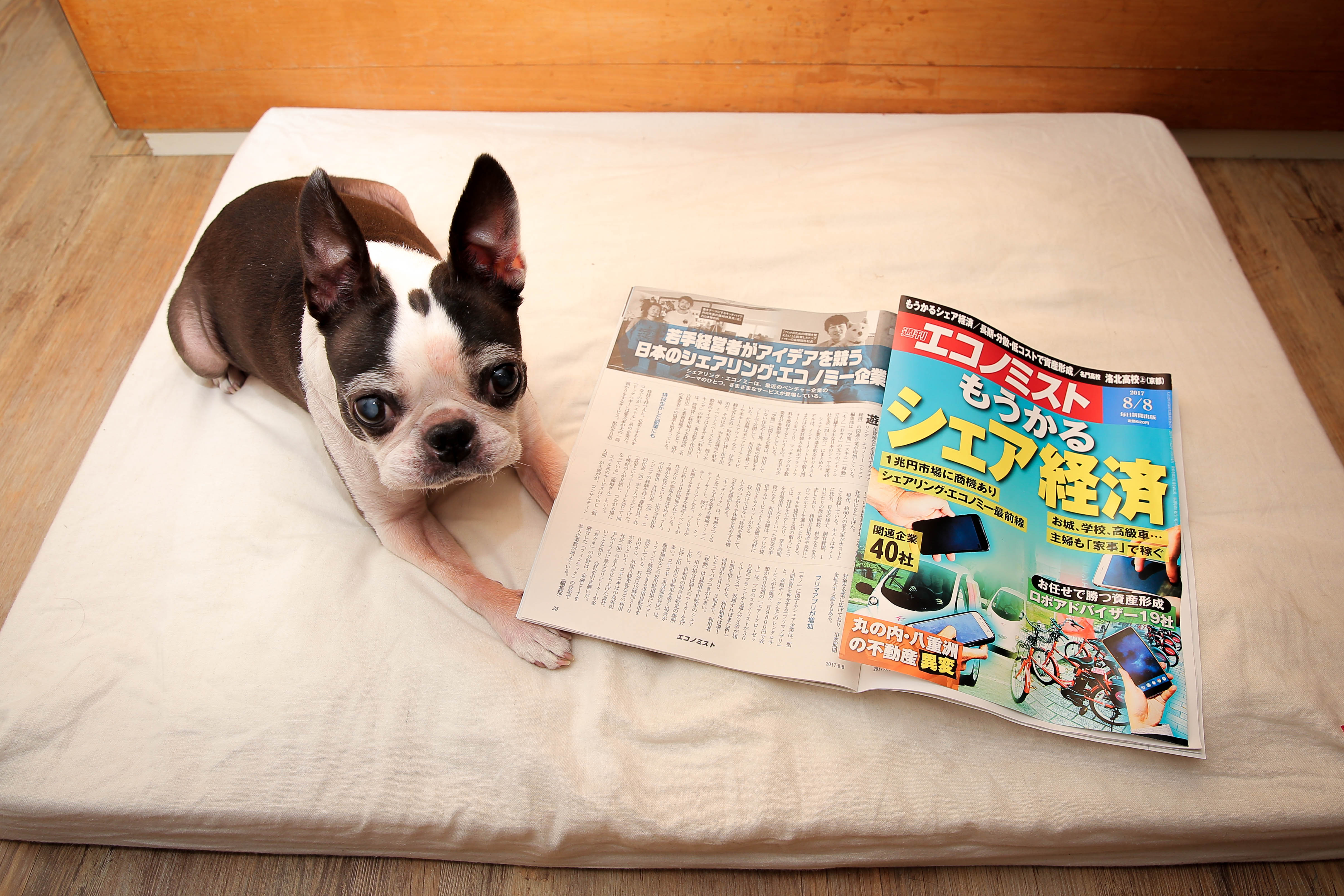 週刊エコノミスト「シェアリング経済特集」でDogHuggyが掲載されました