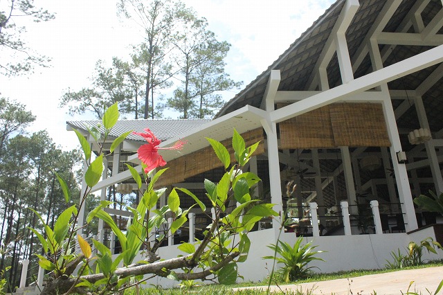 キリロムでの初仕事