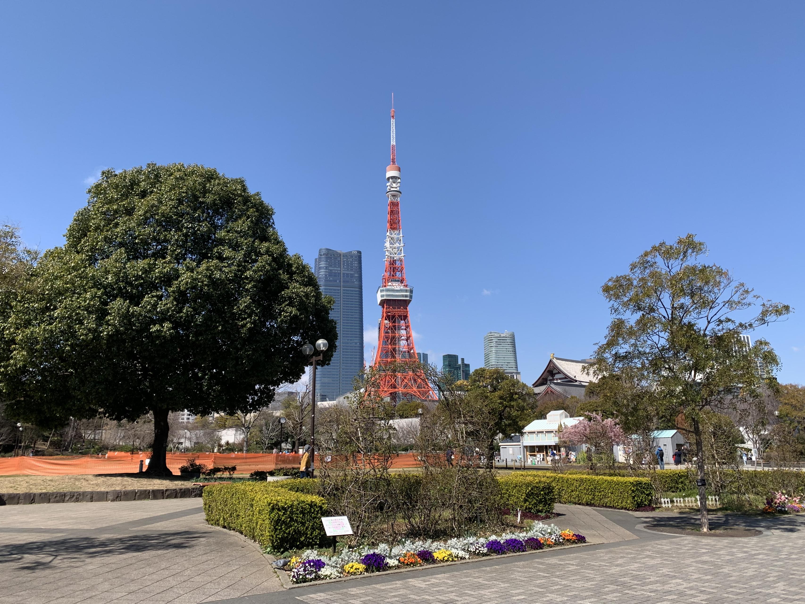 【オフィス紹介】東京タワーのすぐ近く。オフィス街でも緑の多い芝公園