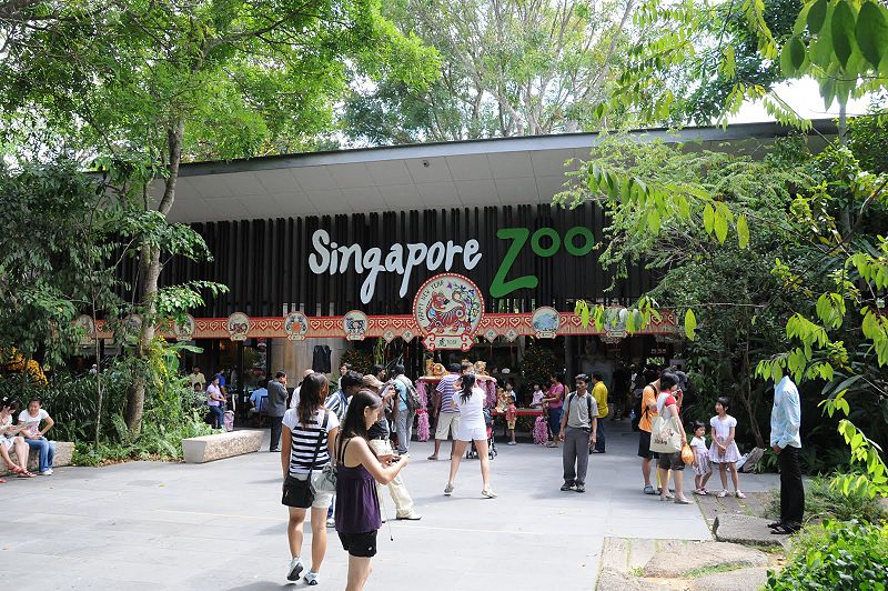 Tempat Wisata TerbaikDi Singapura