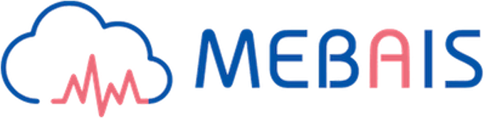 株式会社MEBAIS