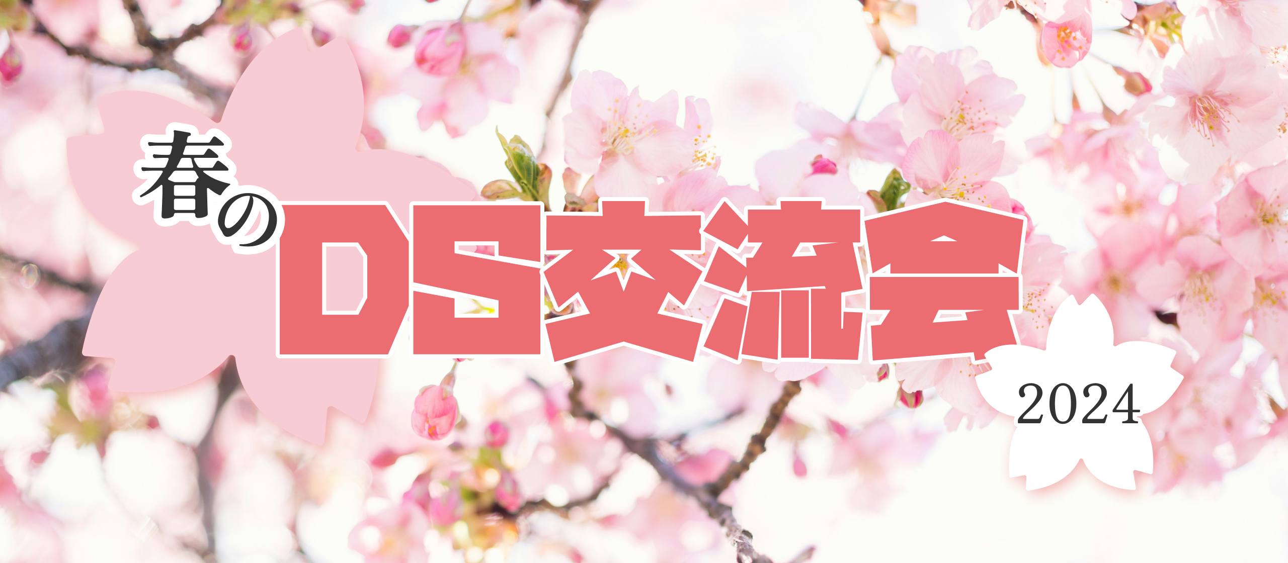 【社内イベント】春の「DS交流会（花見）」開催！
