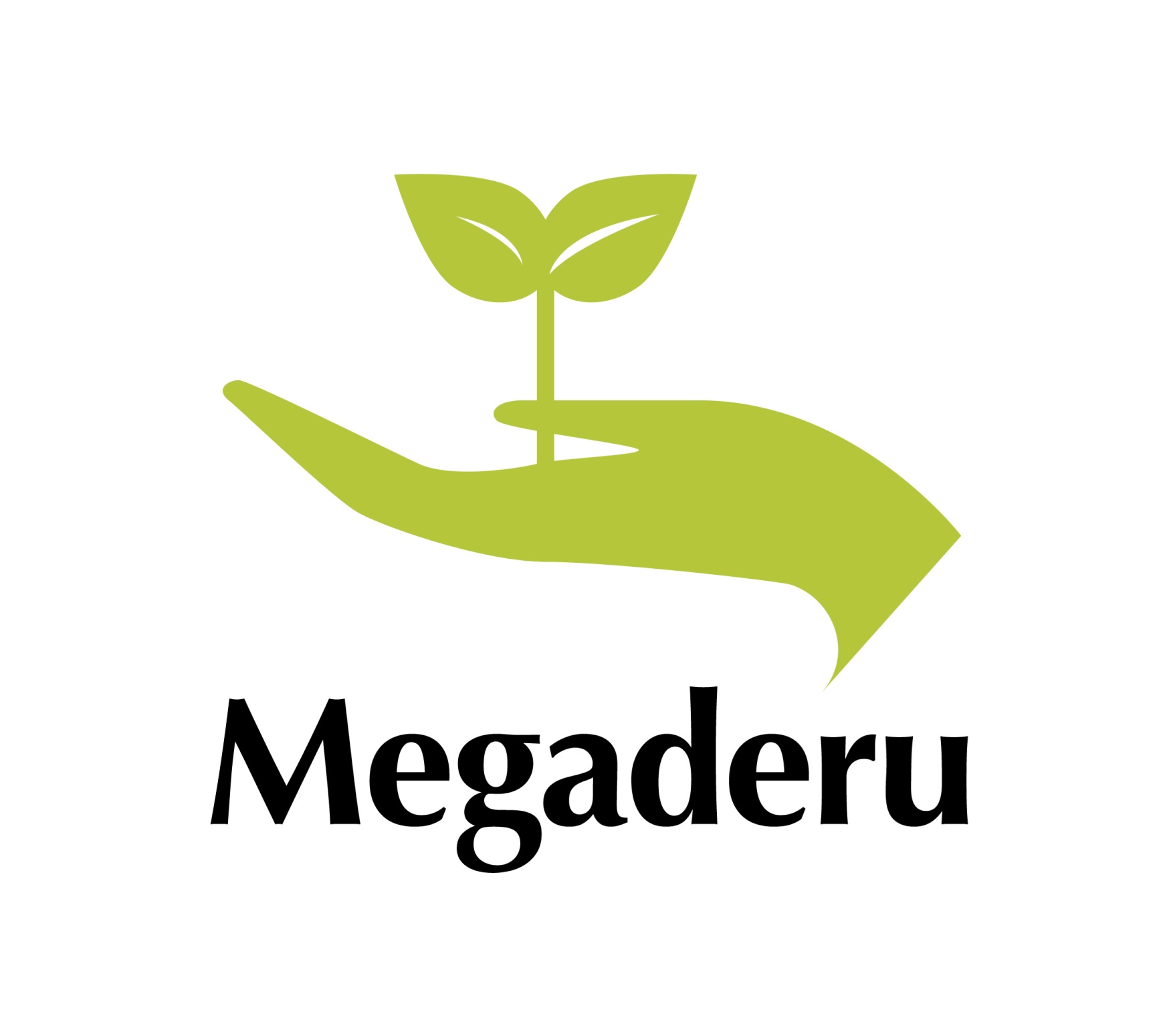 株式会社メガデル