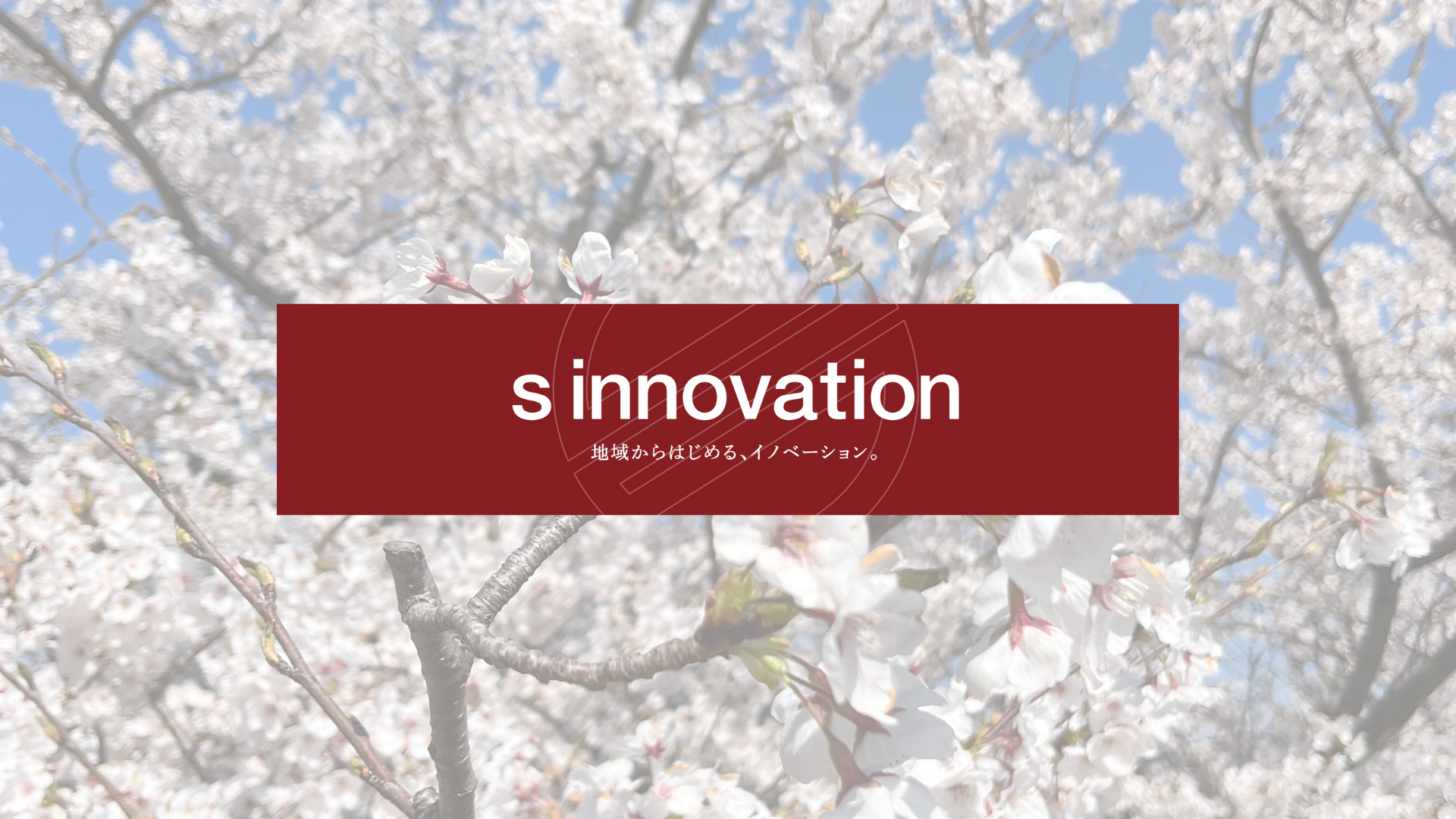 【社員インタビュー】一緒に働いている素敵なメンバーを紹介します！