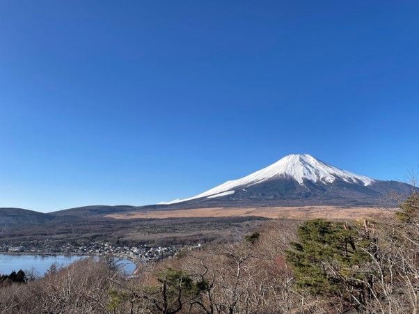 役員合宿を開催しました