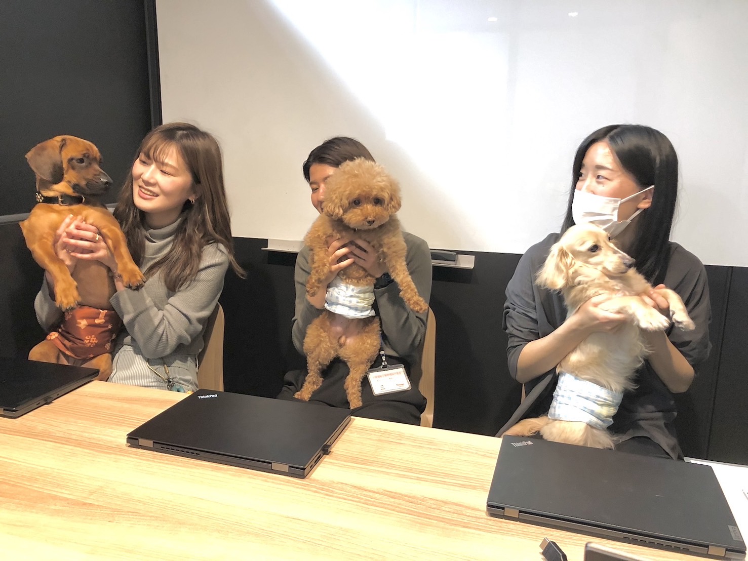 株式会社  愛犬家　▼・ᴥ・▼