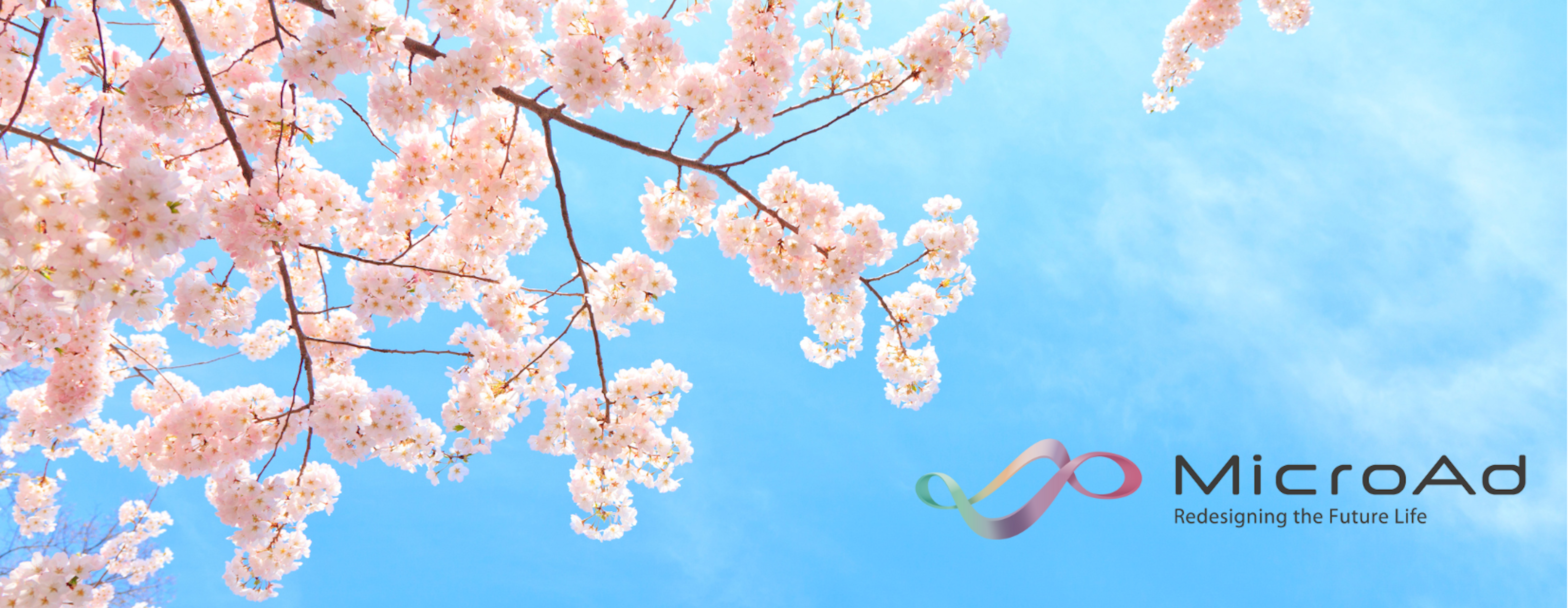 ＼マイクロアド 第50回 全社総会を開催／