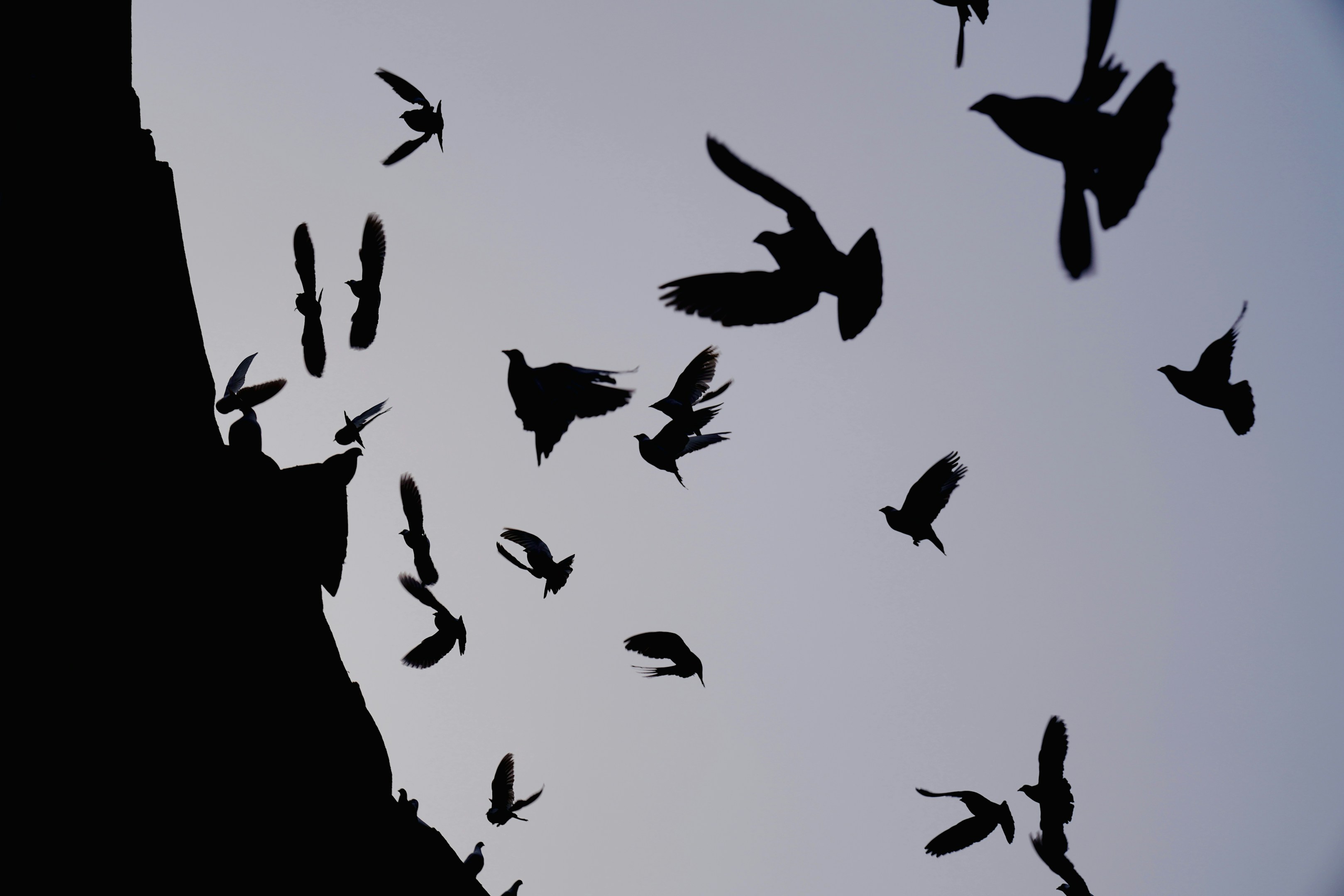 【新人社員インタビュー】これからを迷っている方々へ