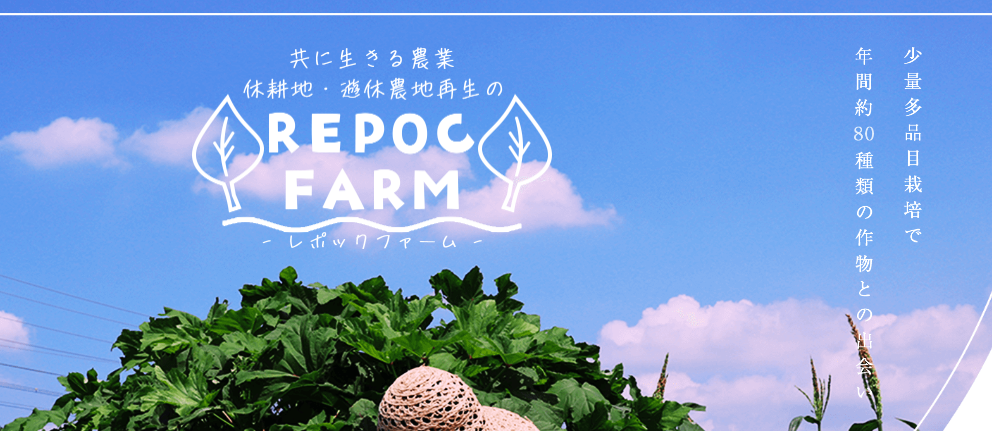 【社内文化】自社農園REPOCFARMのとある日