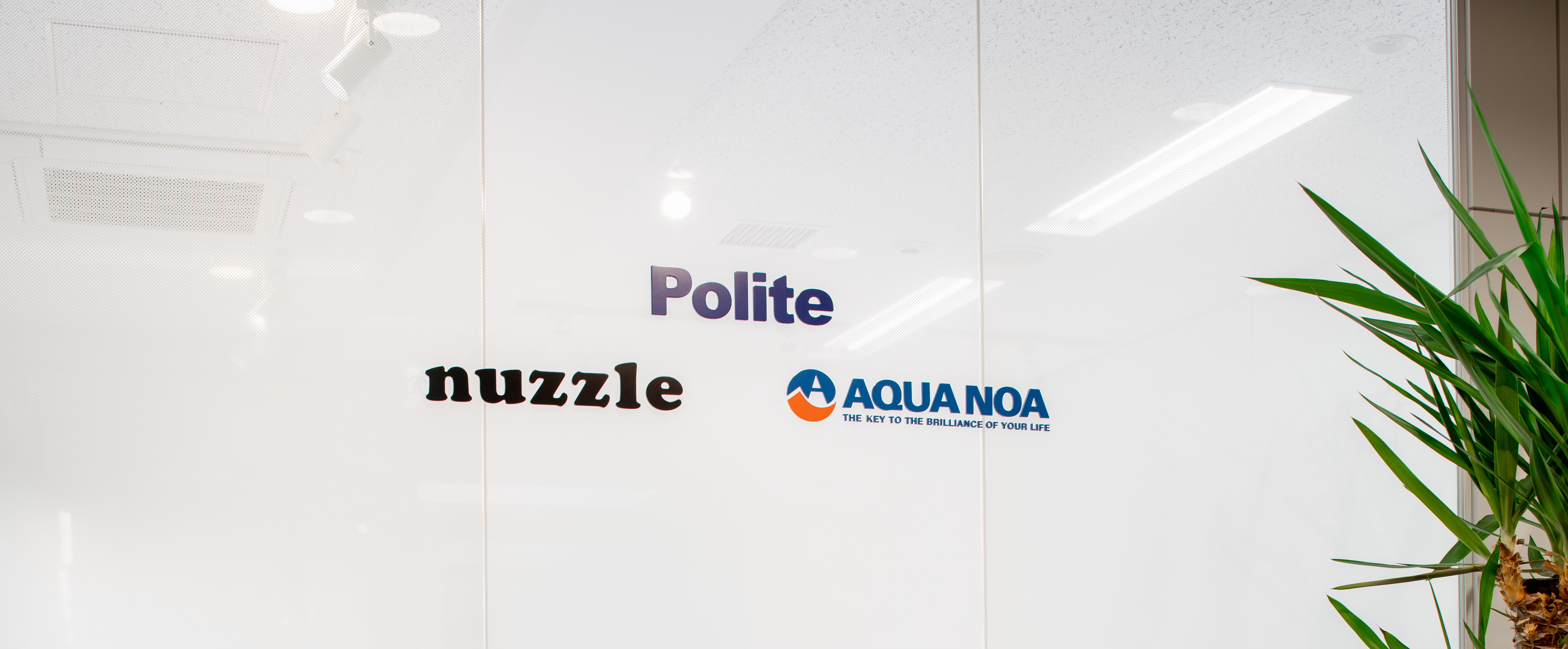 Politeって何の会社なの？