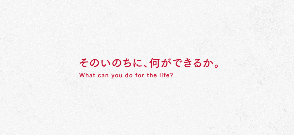 そのいのちに、何ができるか。ー採用情報サイトをリニューアル！ー
