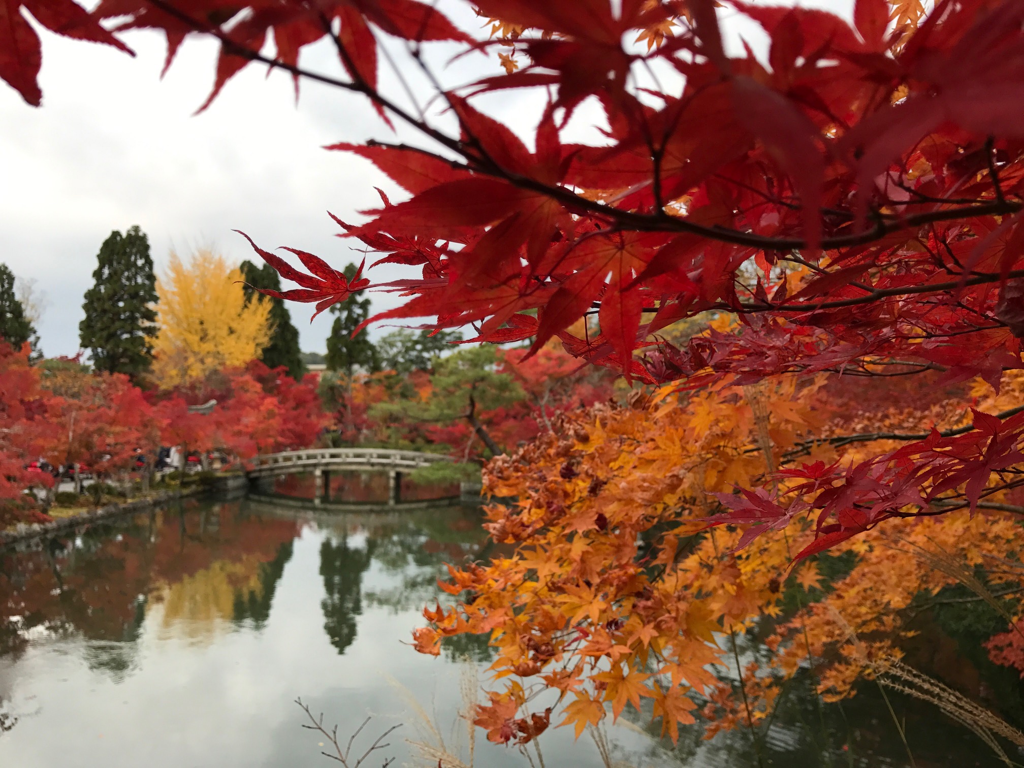 〇〇の秋といえば、、、？