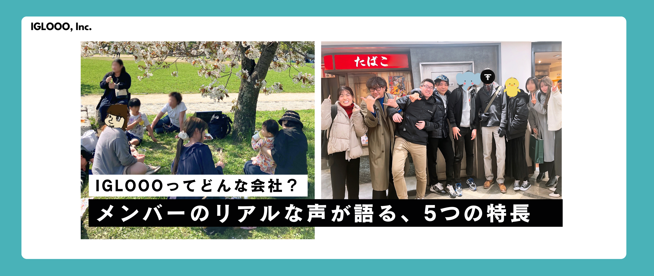 IGLOOOってどんな会社？メンバーのリアルな声が語る、5つの特長