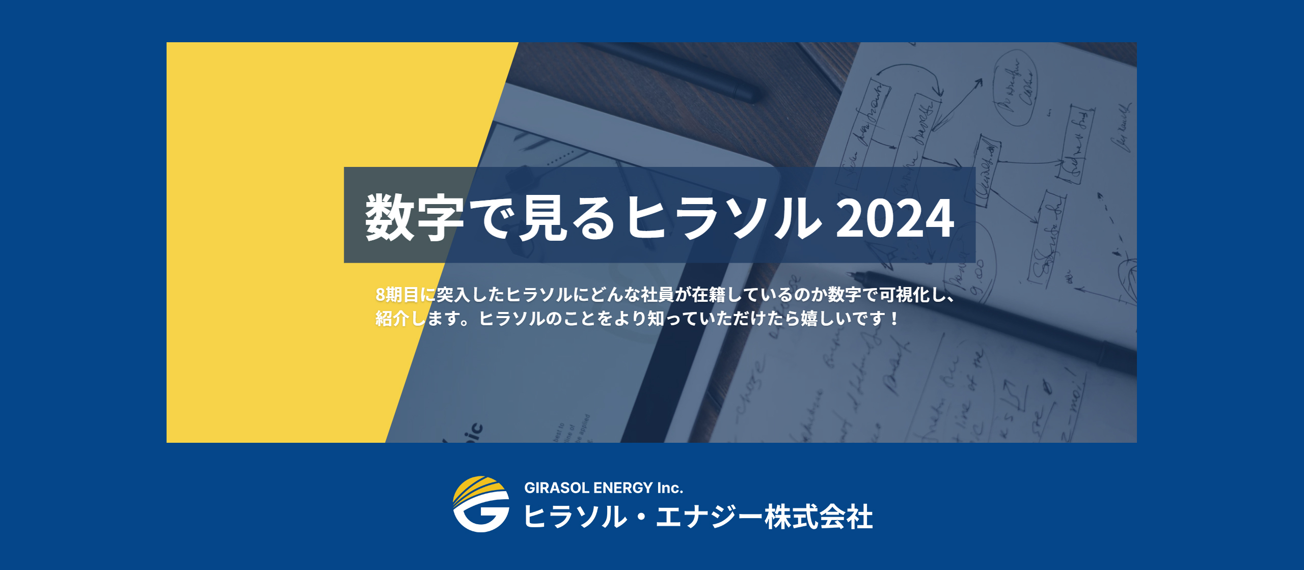 【数字で見るヒラソル】～2024～