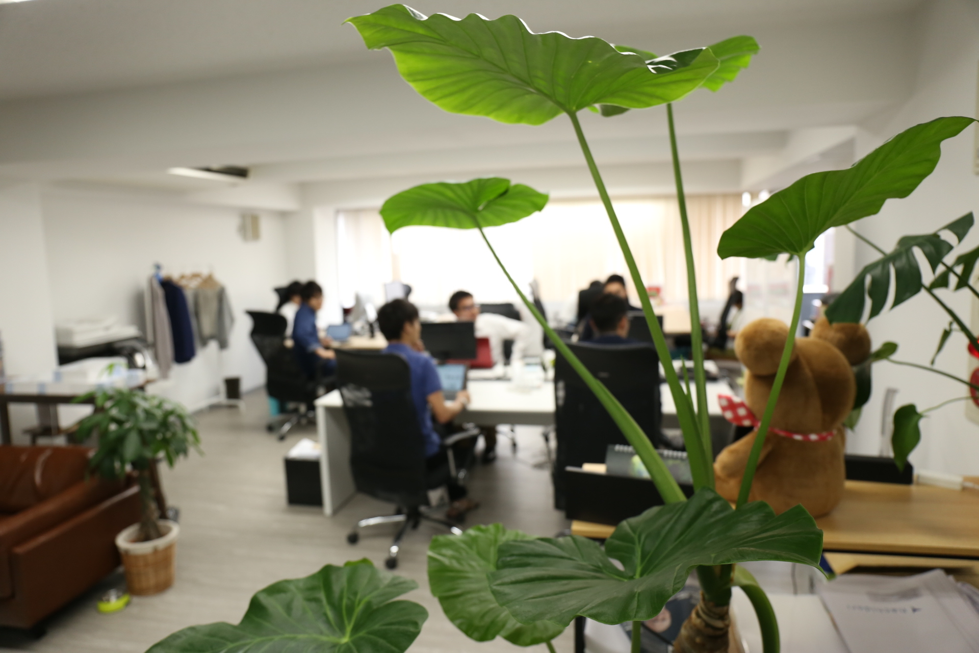 hachidoriブログ始めました！