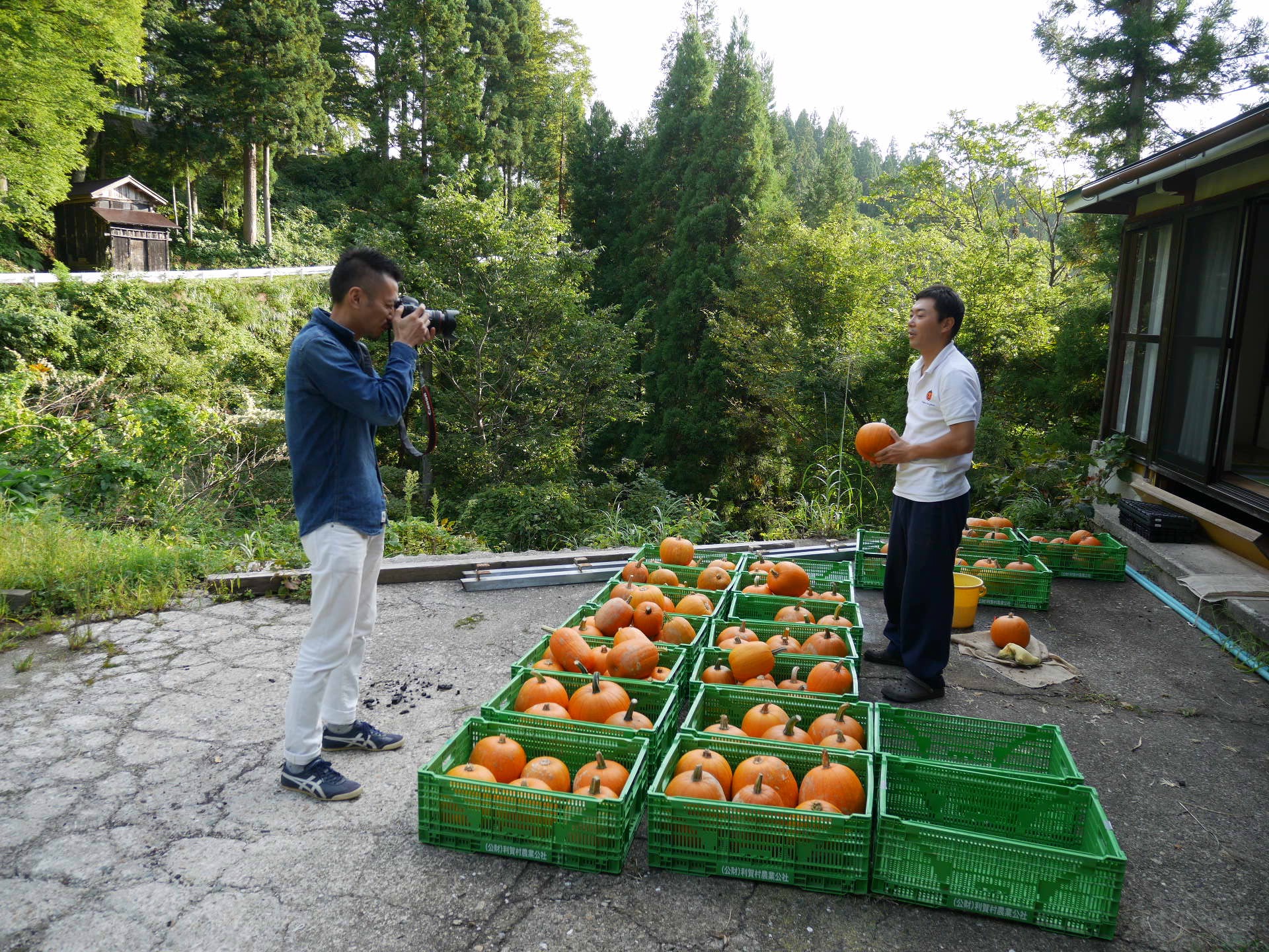 ハロウィンかぼちゃ　無印良品