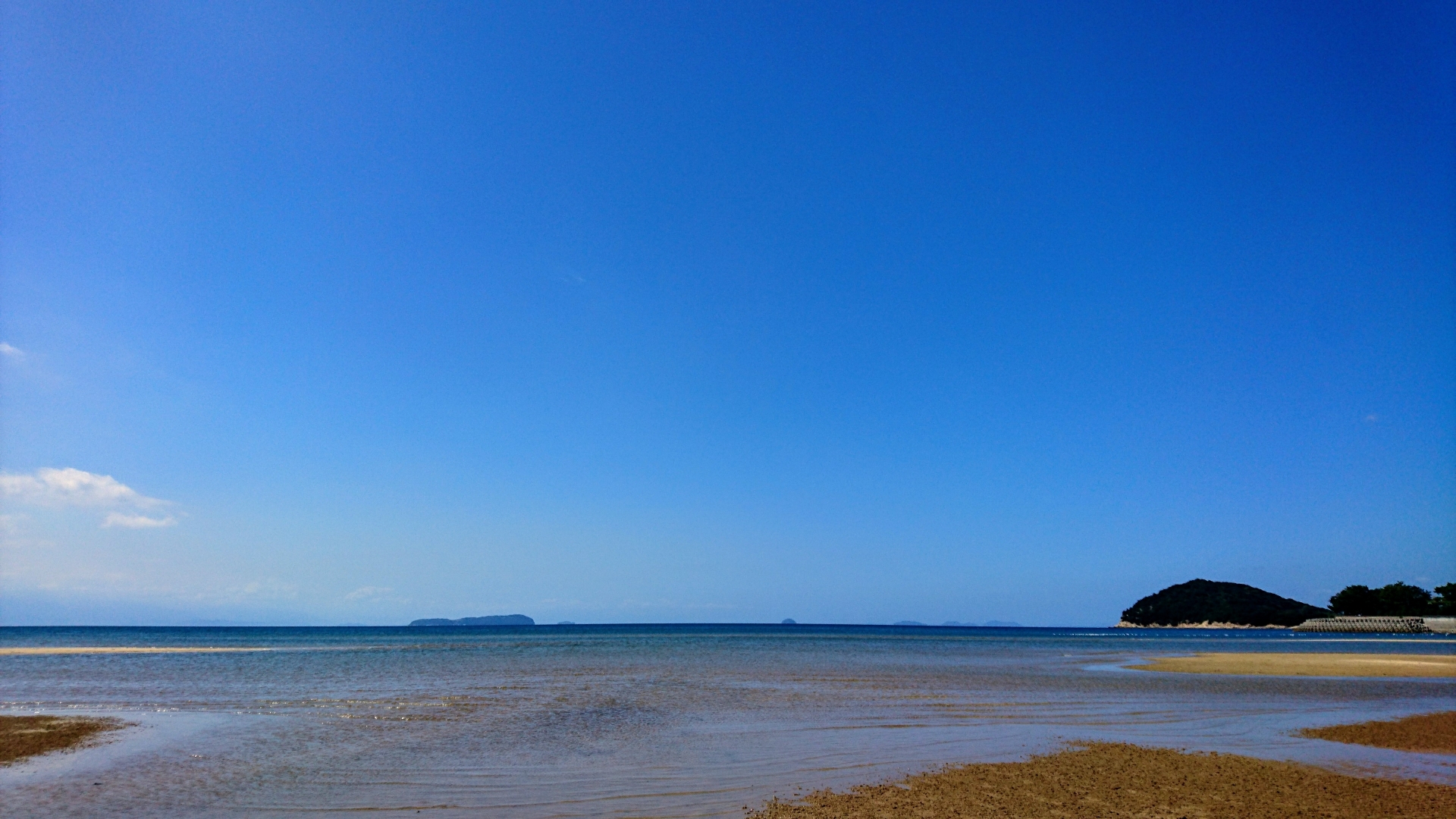 【代表者コラム】地方創生を再構築する！あなたの「情熱」が私たちの戦略です。