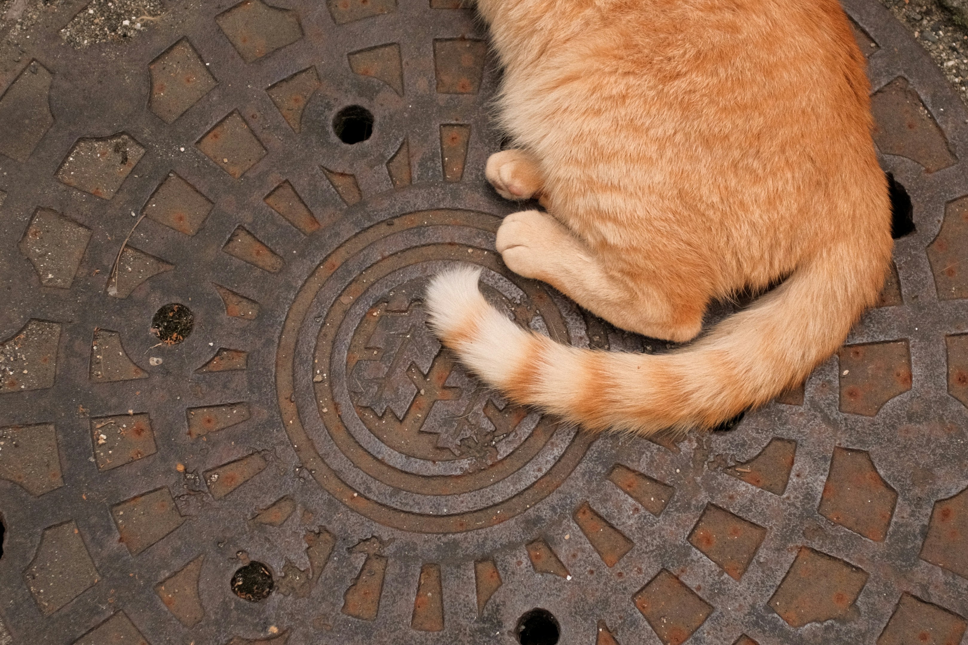 下水道マンホールを眺めてみた