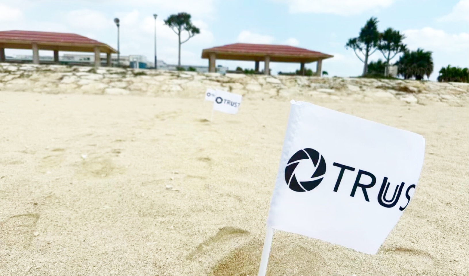 【社員旅行】2024年度 in 沖縄🌺 -前編-