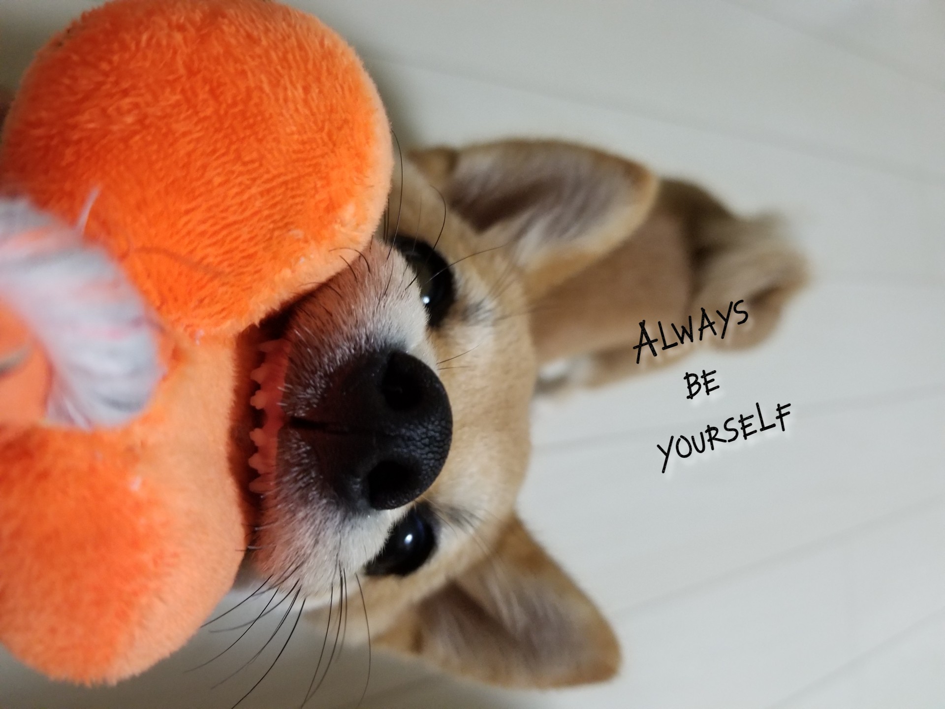 私が、私らしく働ける環境