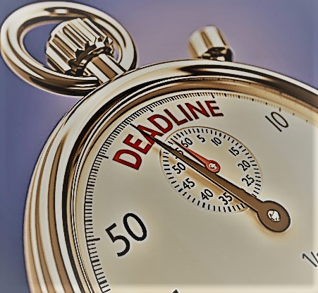 こんな感じな状態です！