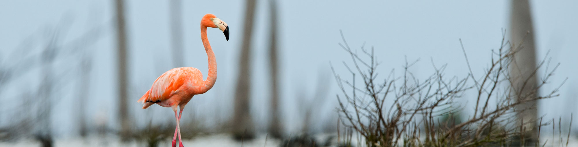 Gear8は「自分」と「自分のやりたい」に向き合う場所