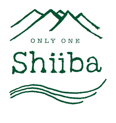 椎葉村地域おこし協力隊