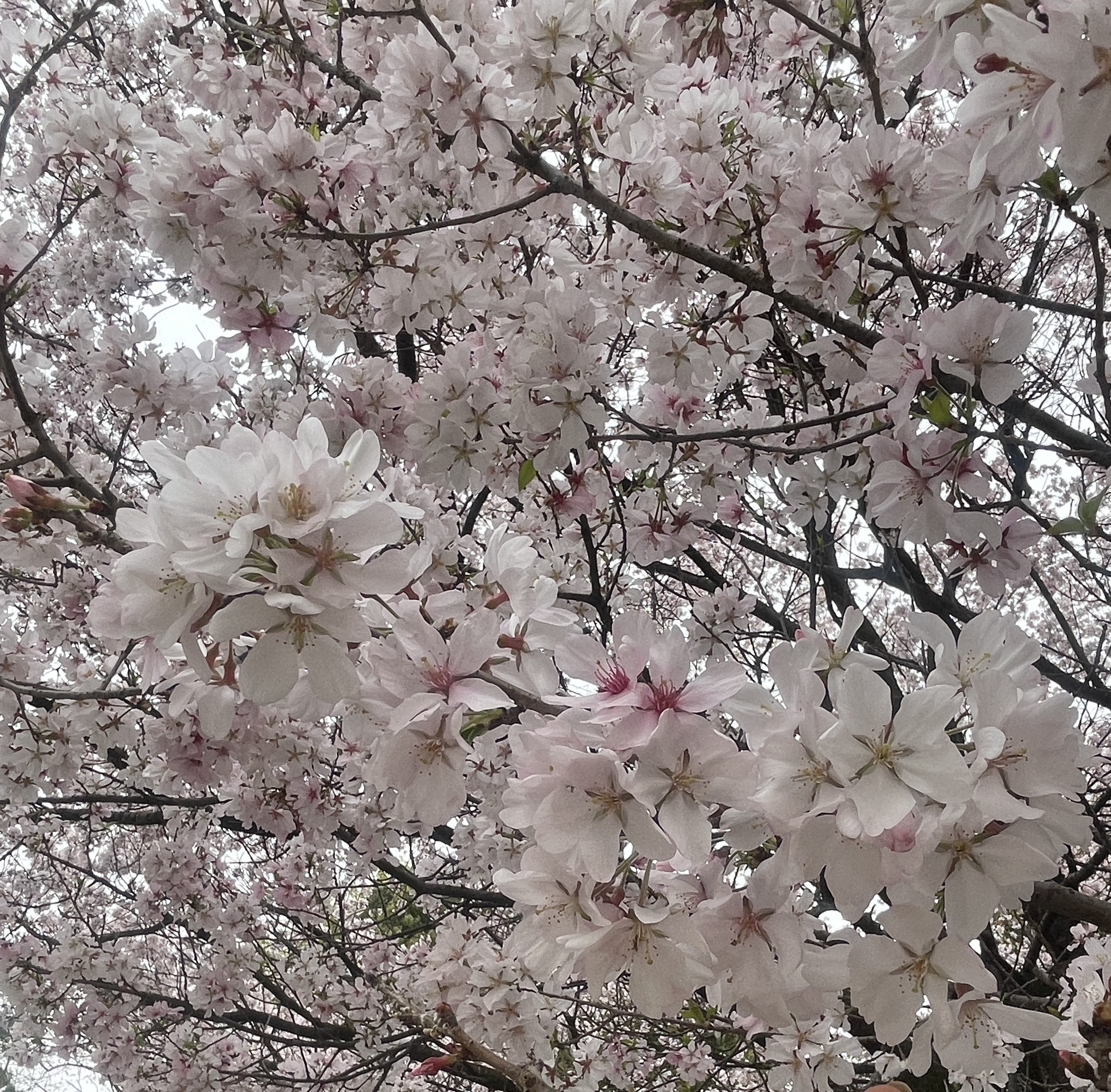 【新卒社員Blog】24年新入社員　外部研修レポート～総合職編～