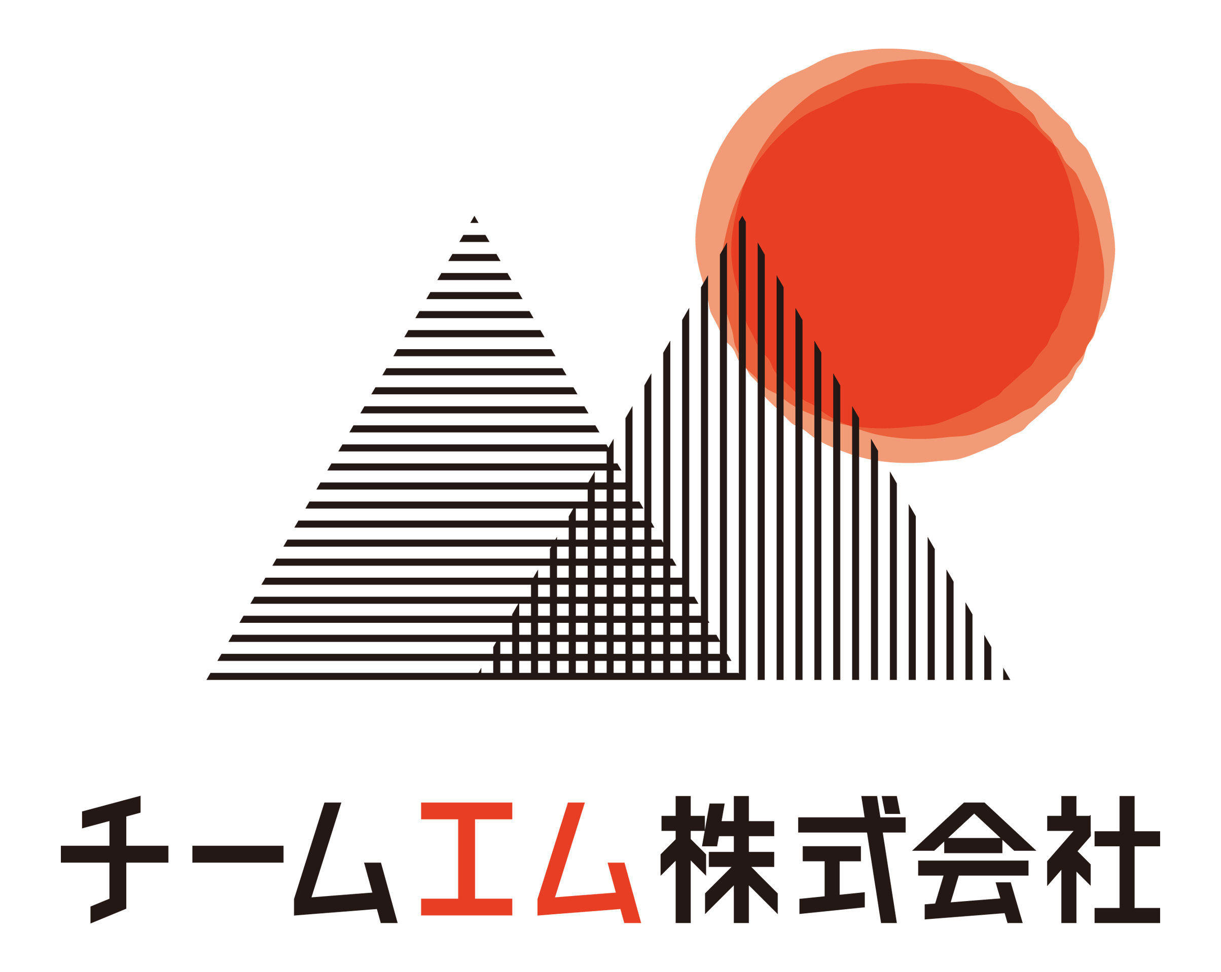 チームエム株式会社