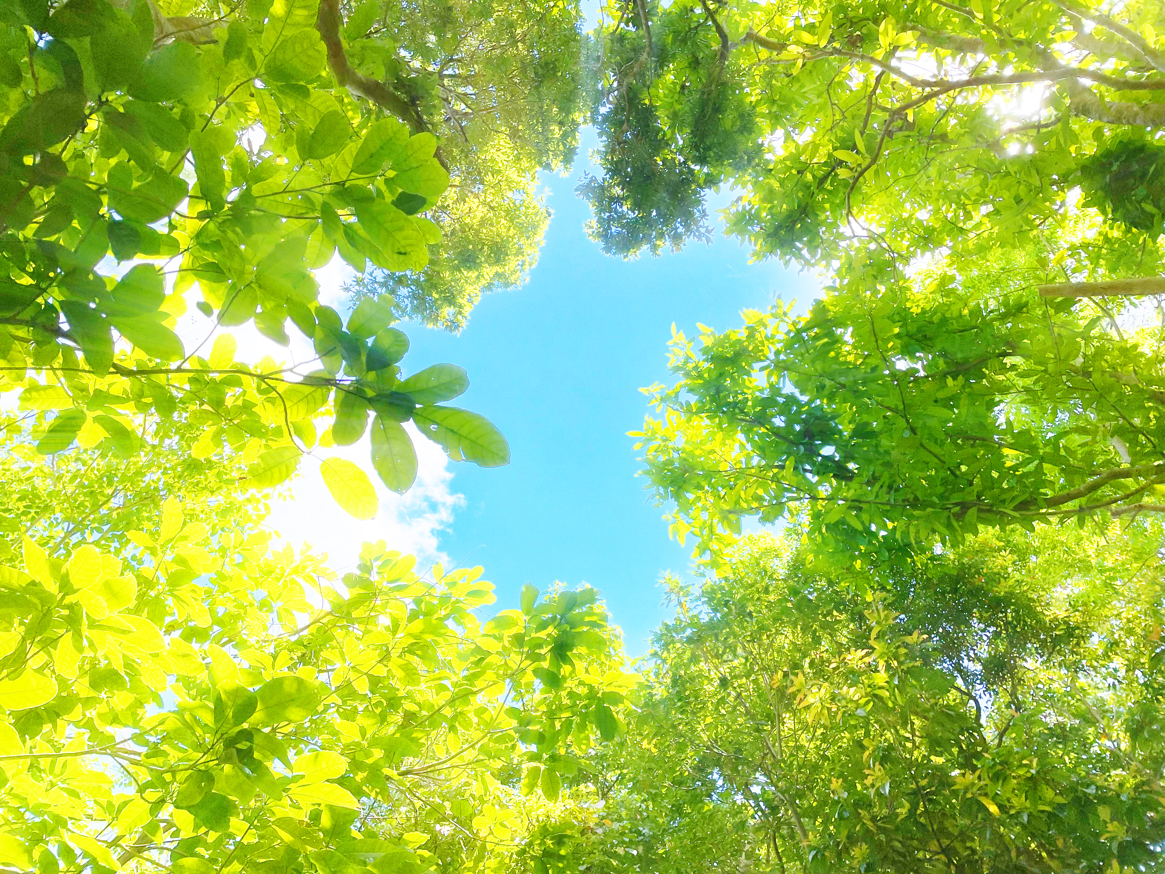 環境に優しい職場で働きたい人、この指とまれ！ 日本では希少なCO2排出量ゼロ工場の仕組みとは