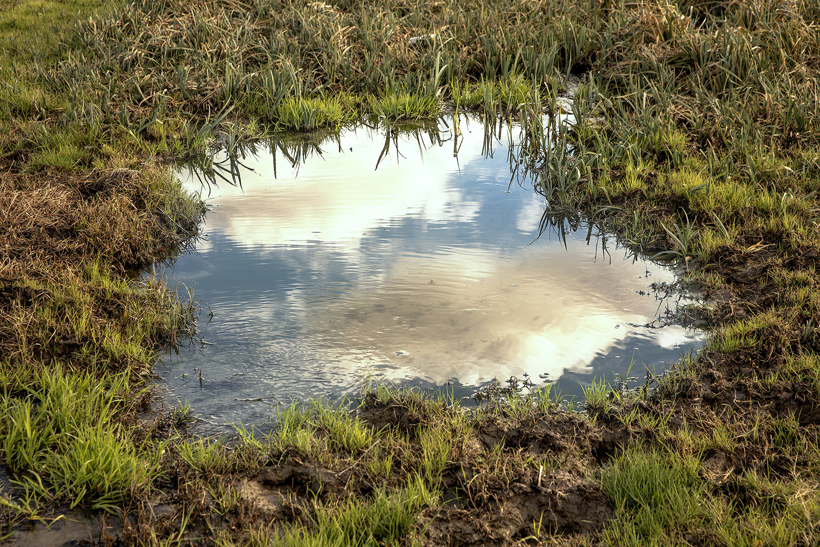 小さくてもいいから、新しいアイデアを探す