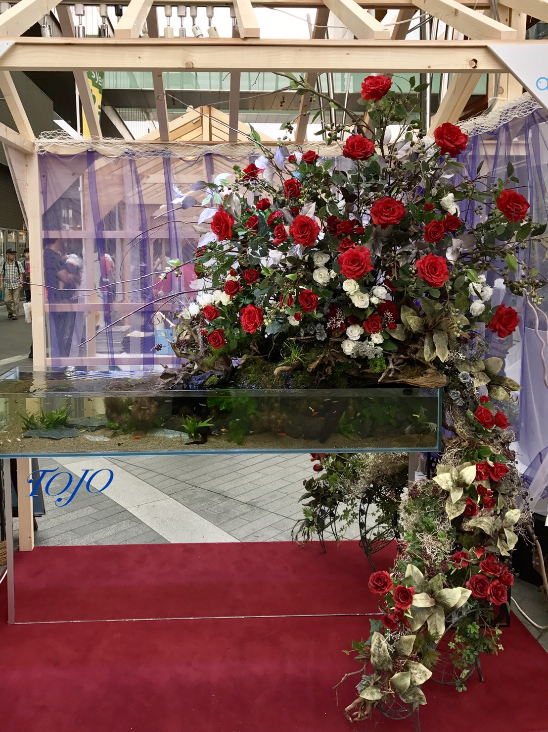 アクアリウムレンタル・メンテナンスビジネスを世界へ