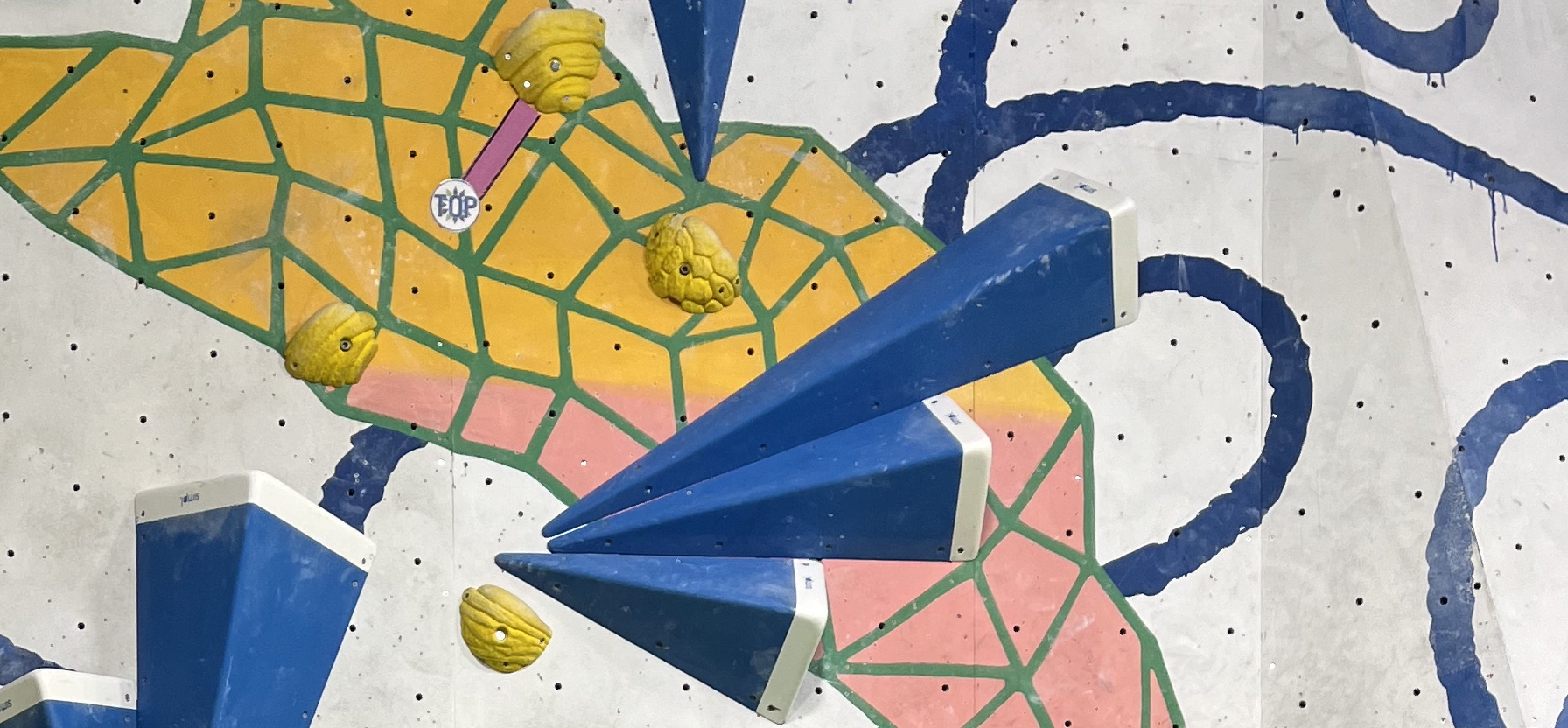 【ボル部】06月の活動