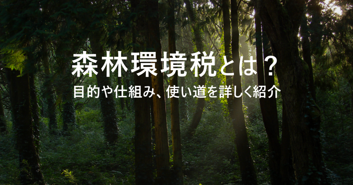 森林環境税とは？目的や仕組み、使い道を詳しく紹介