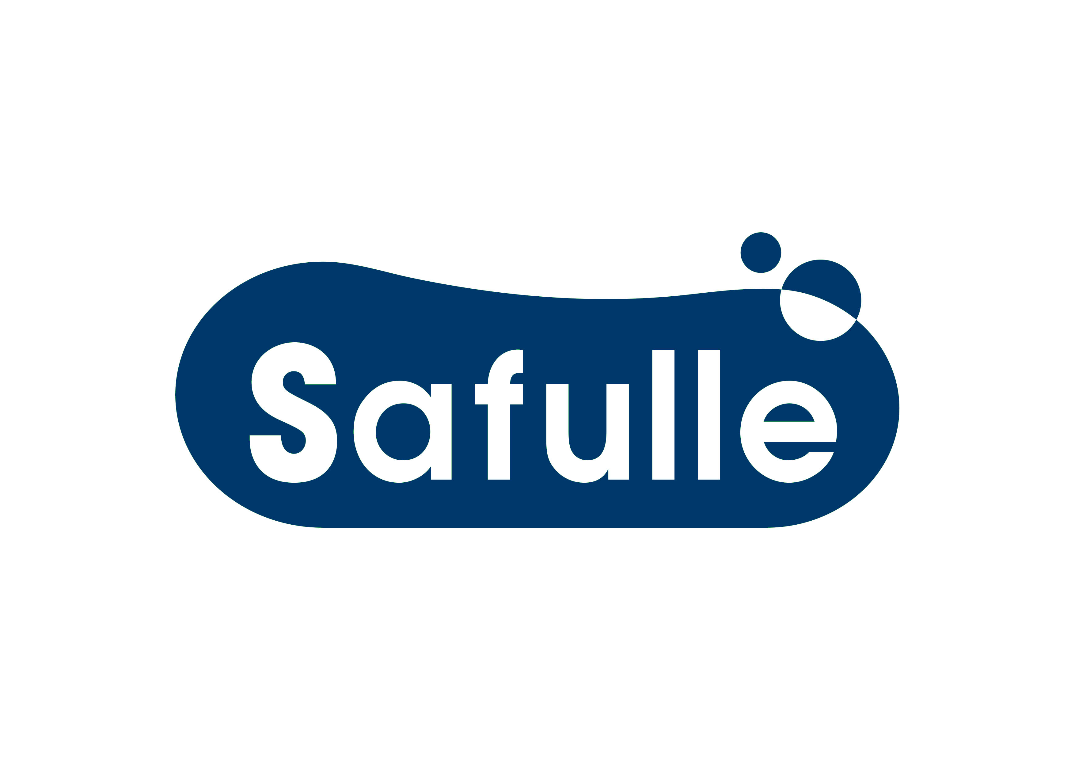 セイフル株式会社