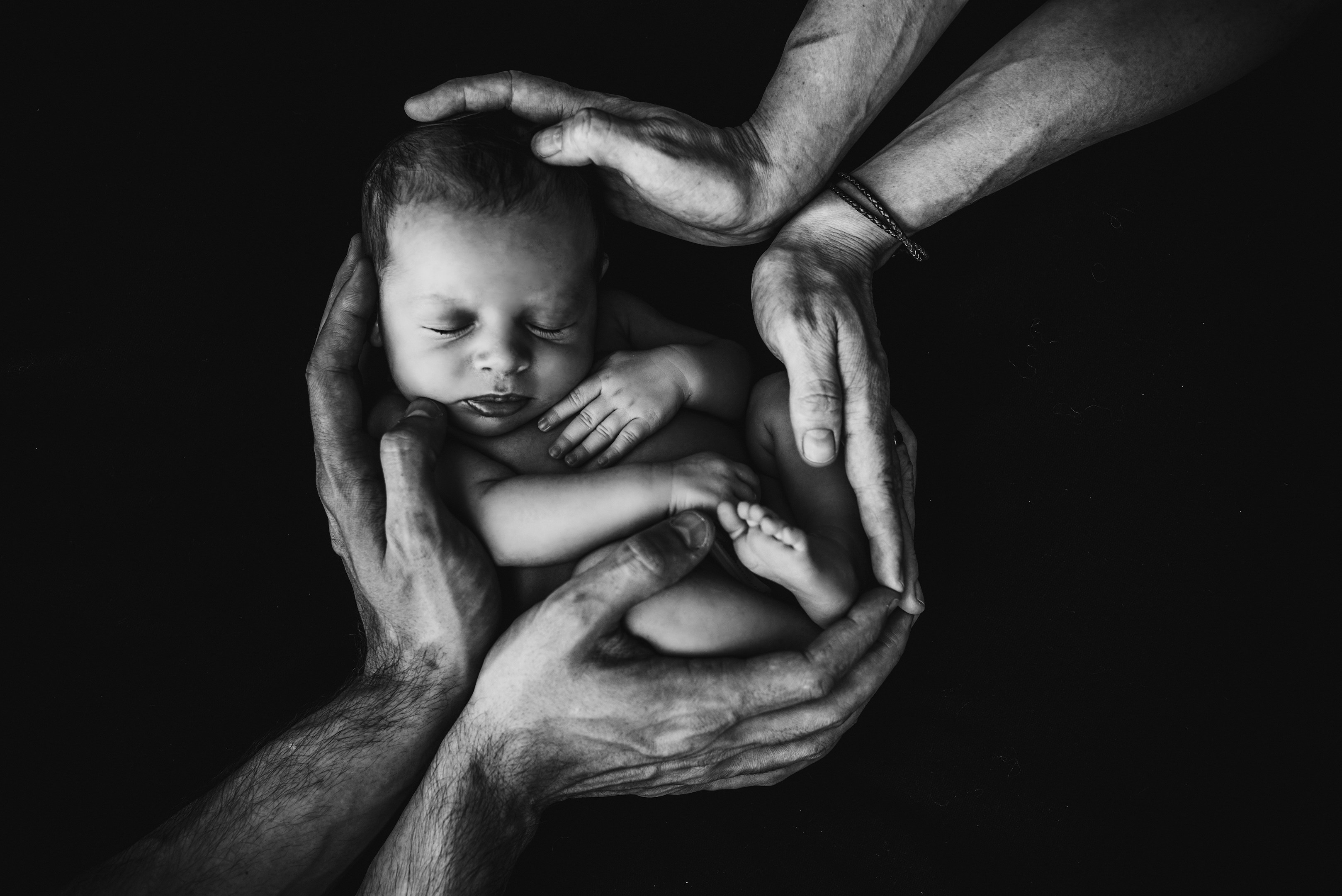 From amorétto to LIFE studio