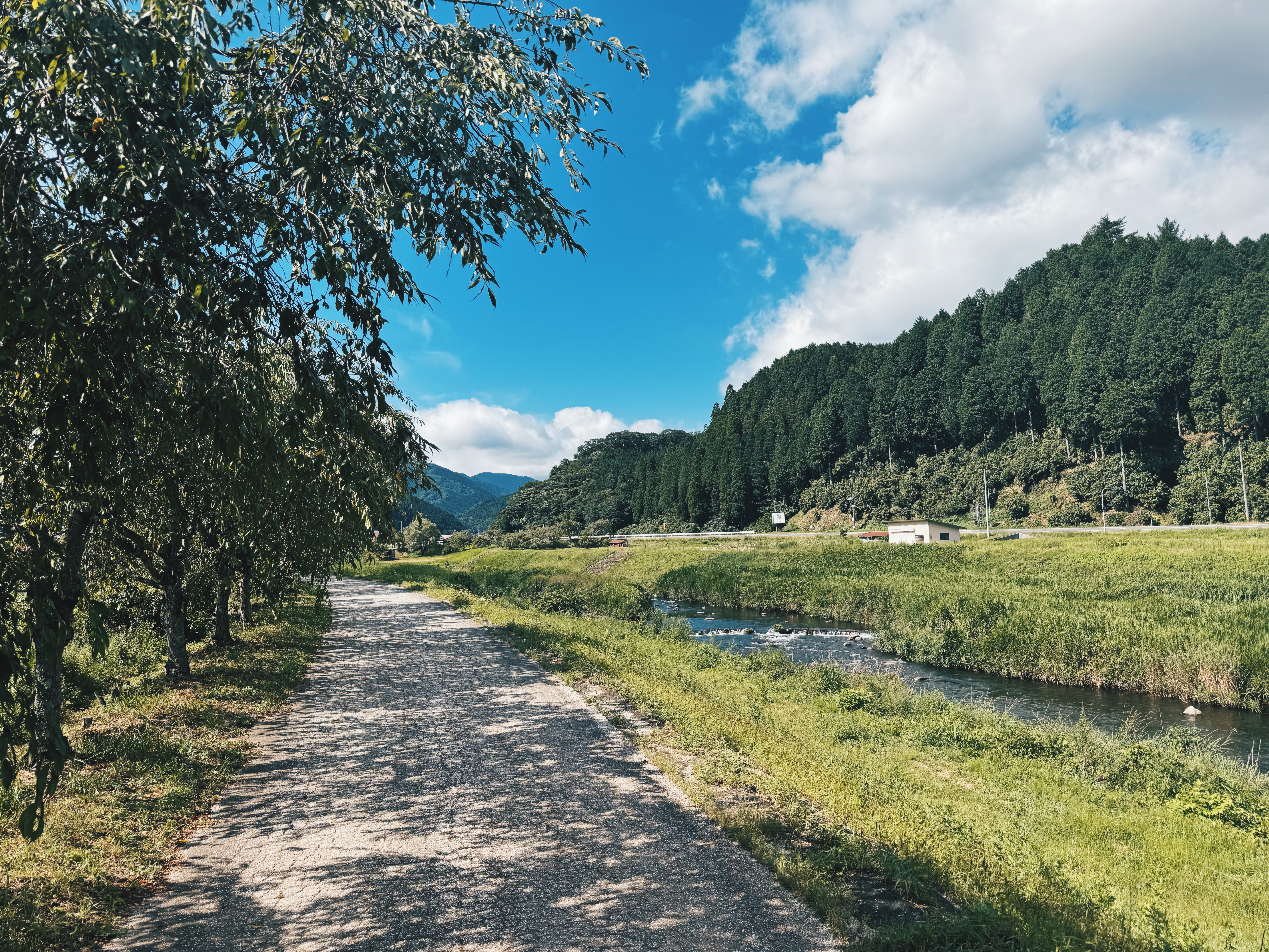 よそものから見た新庄村の魅力とは