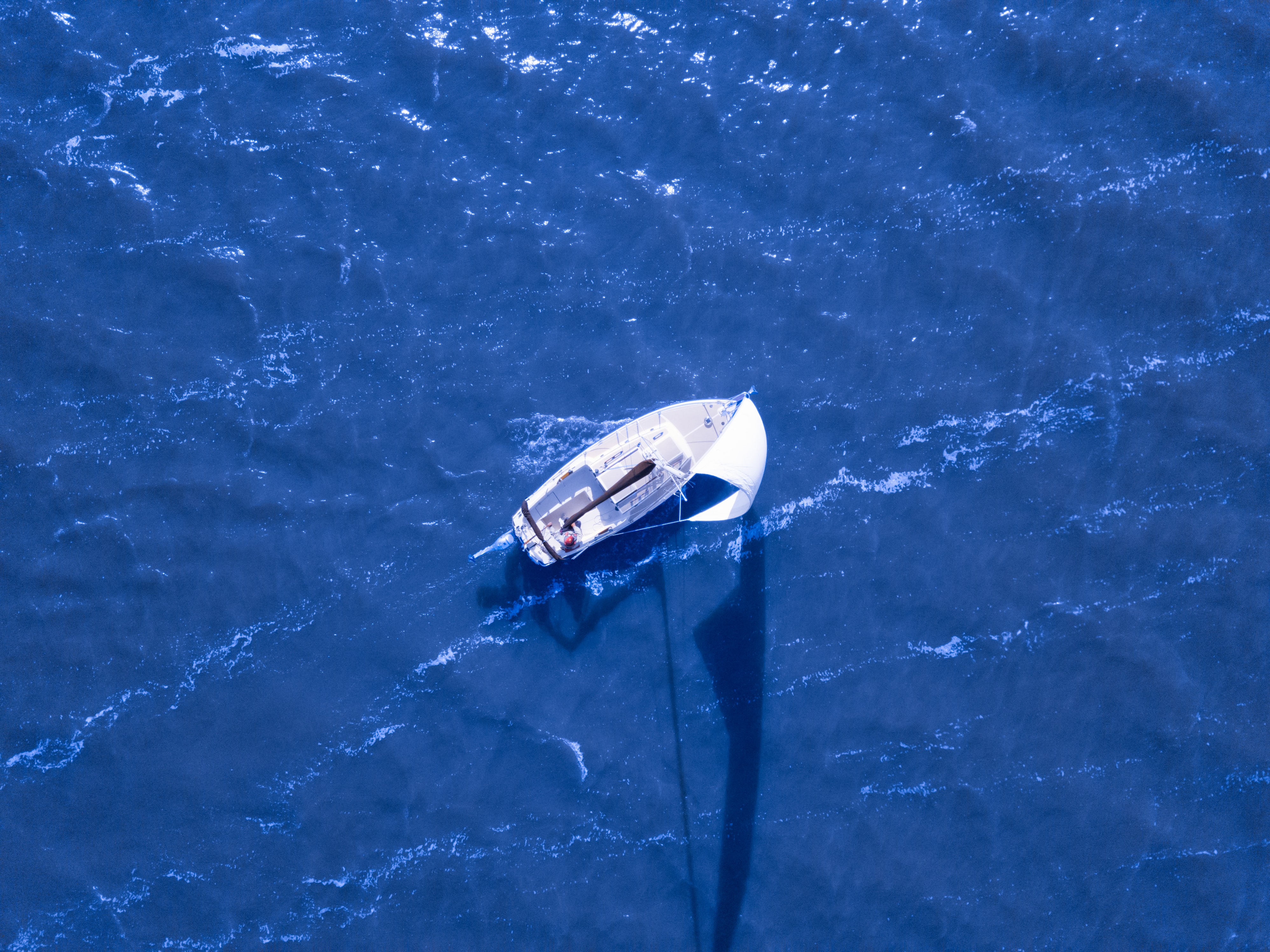 Lokahi Program～Fishing club～