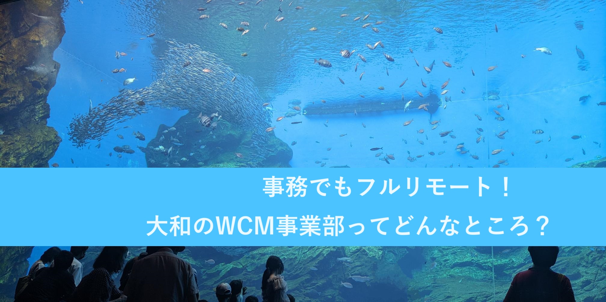 事務でもフルリモート！大和のWCM事業部ってどんなところ？