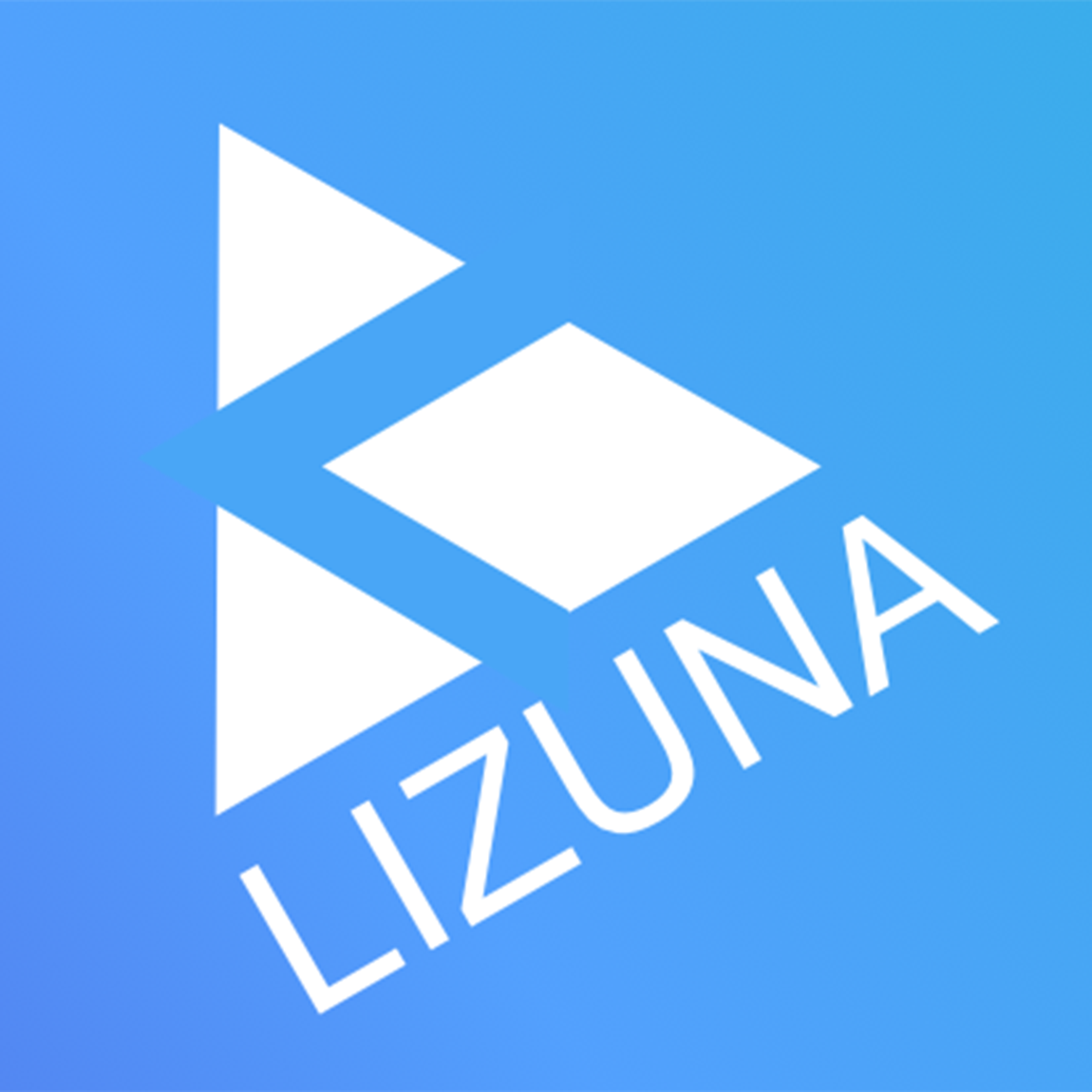 Lizuna 合同会社