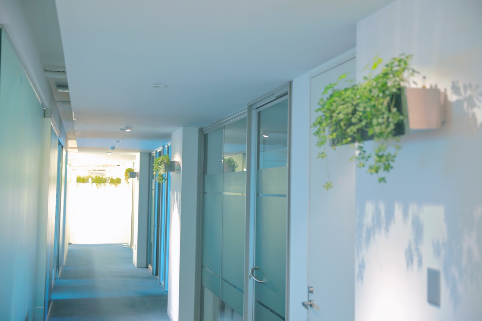 これでもかというほどのグリーンで溢れているオフィス