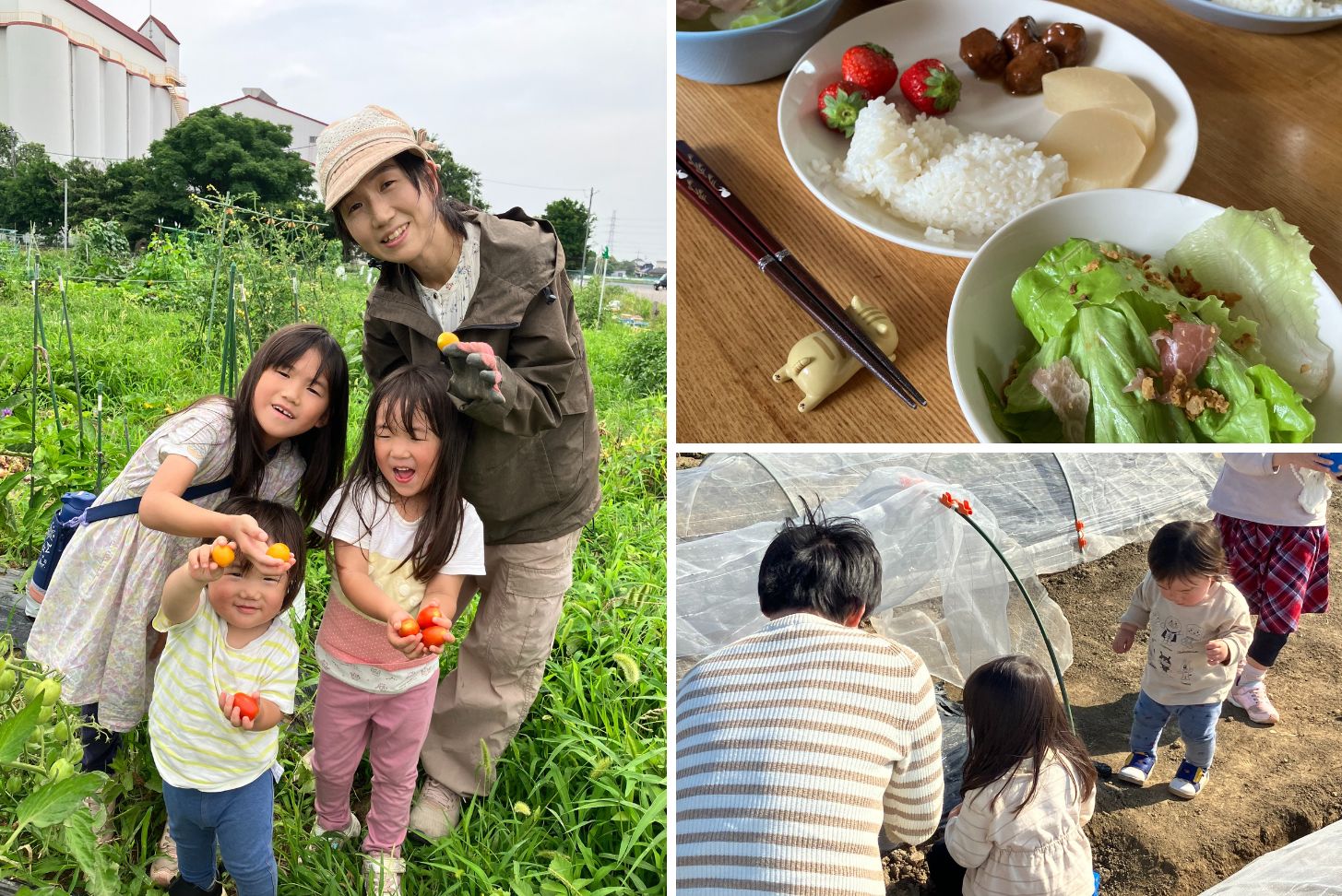 続・子どもと楽しむ自産自消。2年たって家族が増え、夫が菜園仲間に！
