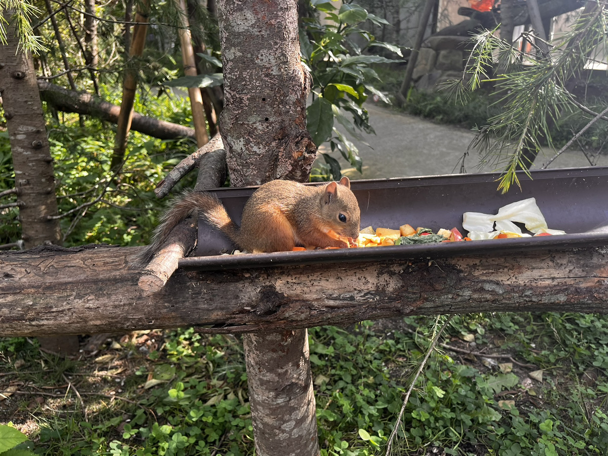 【社員インタビュー第4弾】WEBディレクター