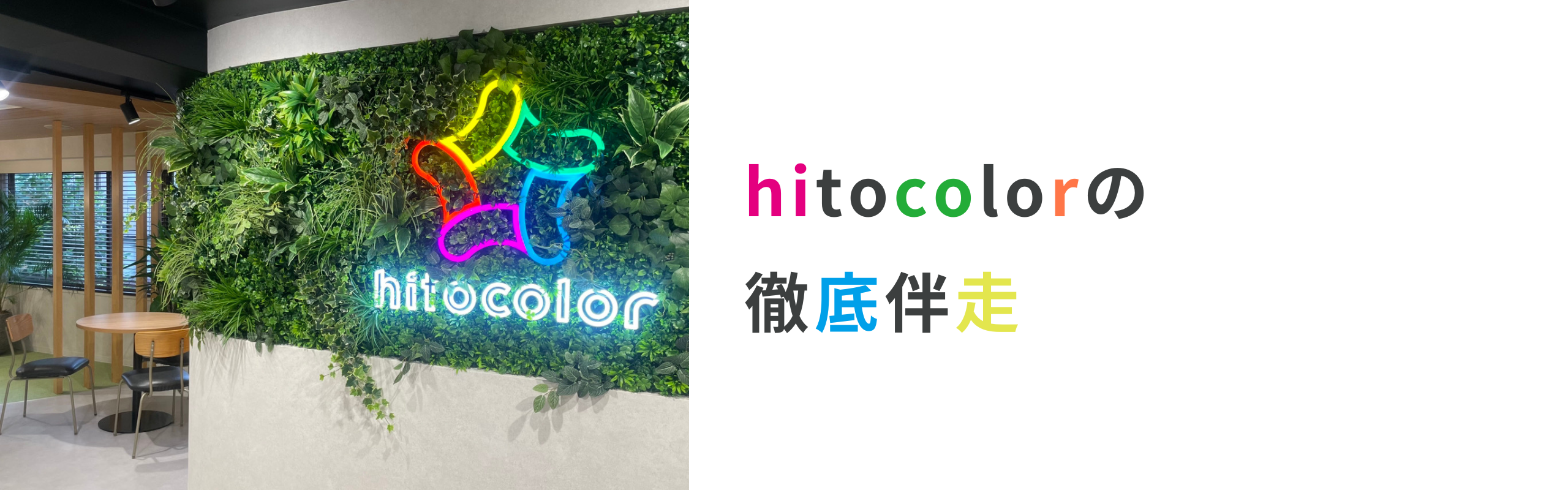 ▽hitocolorの徹底伴走