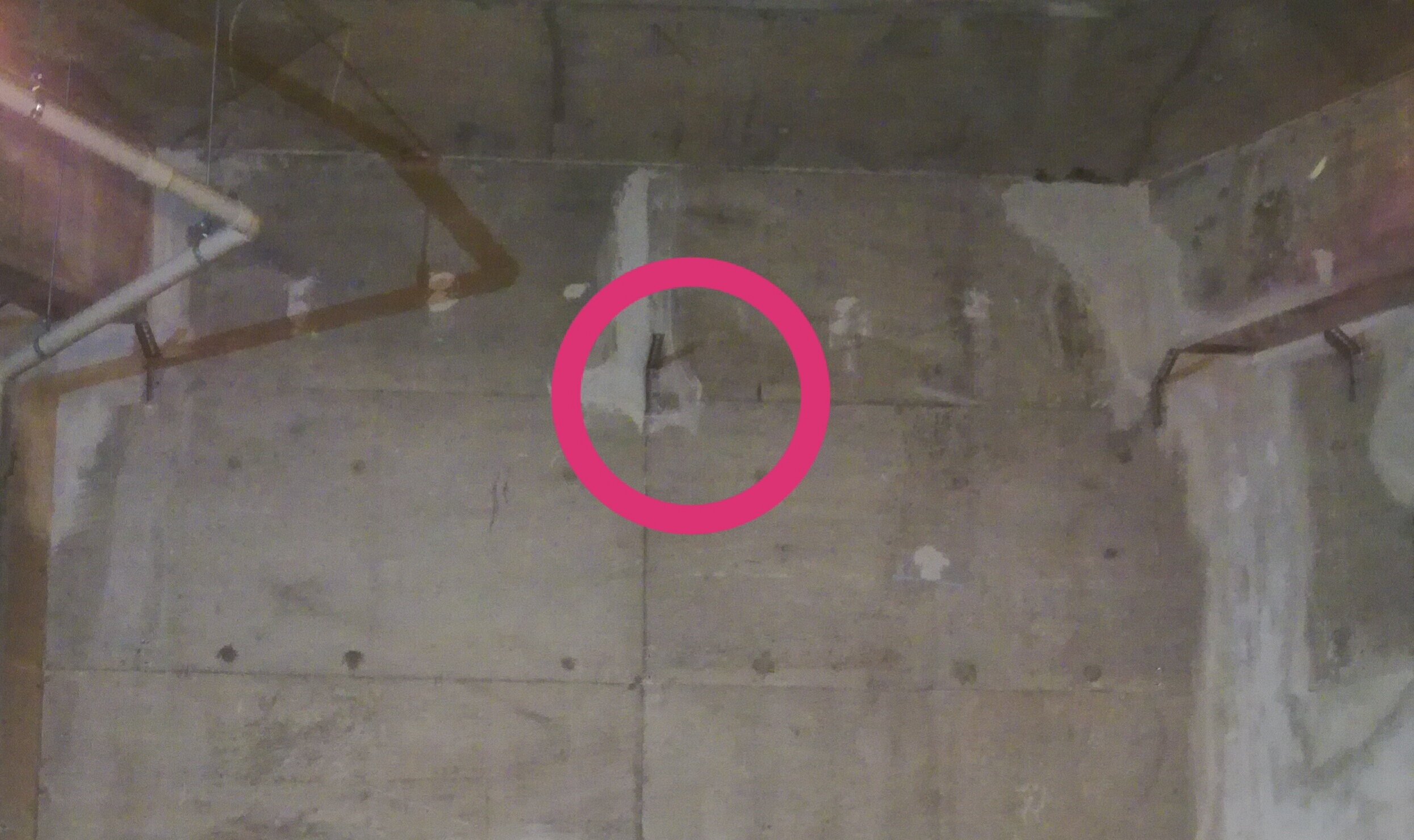 Trimで酉の市に行ってきました Trim Member S News