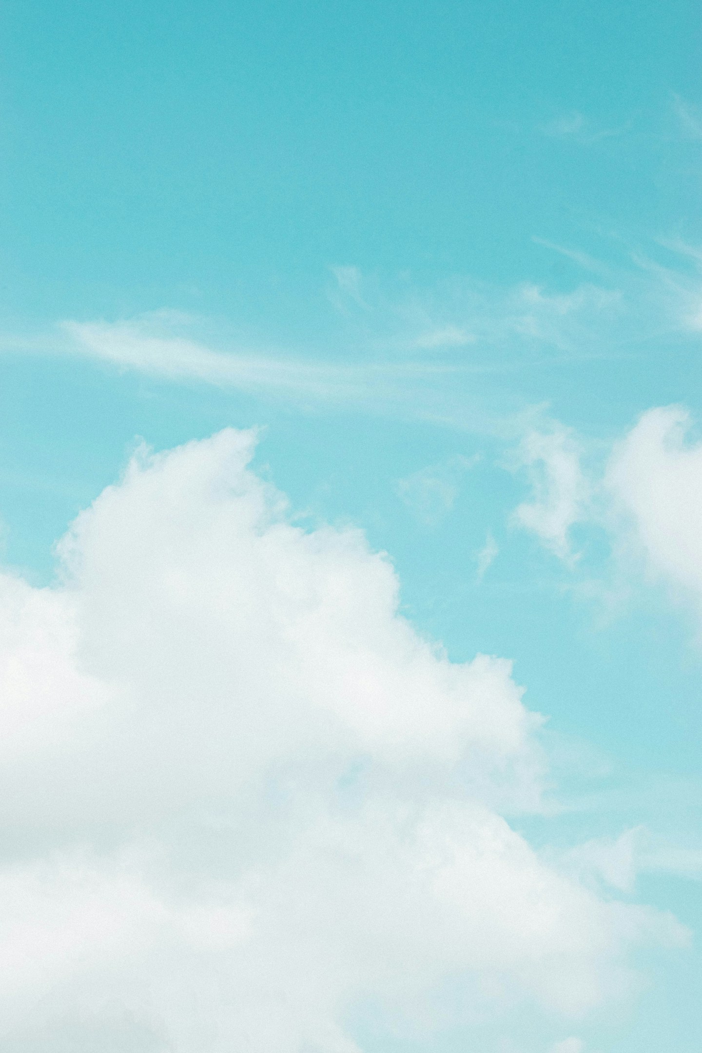 採用・研修課所属 私がCLFを選んだ理由