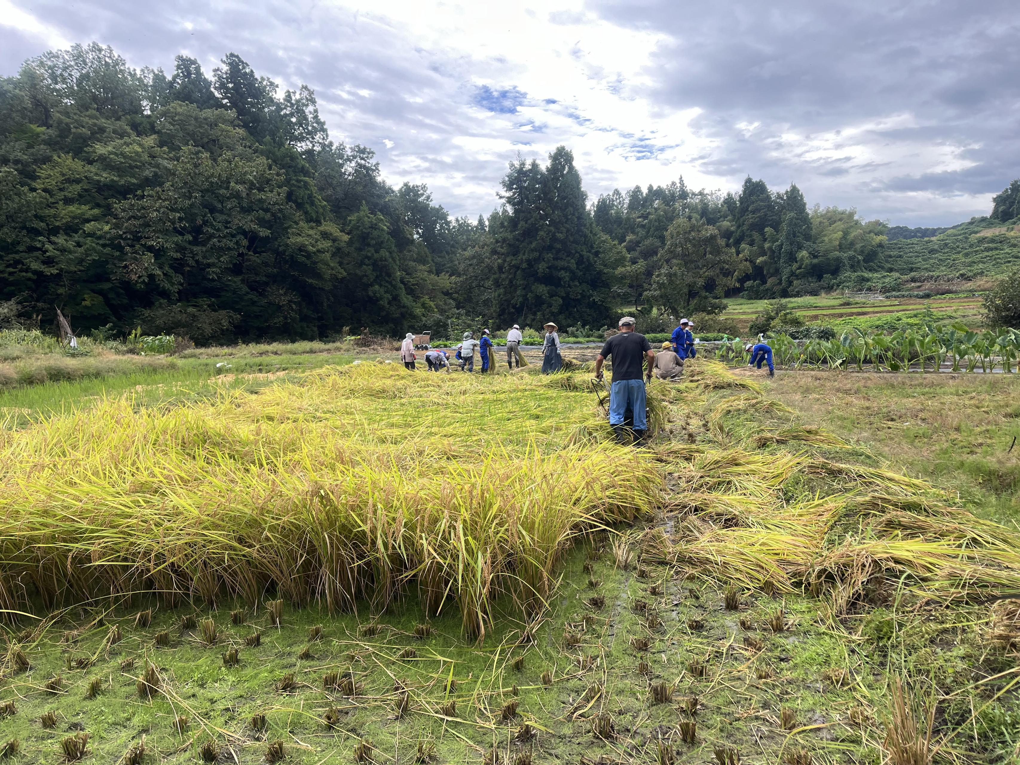 「未来の農業を担う子どもたちのお手伝い」