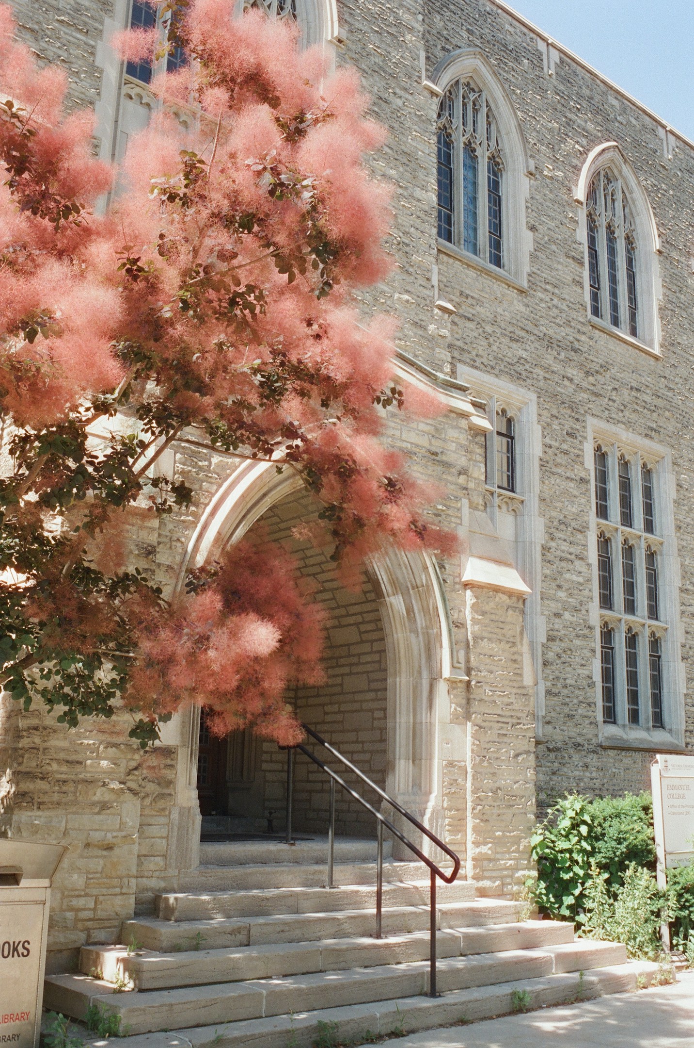 私のストーリー